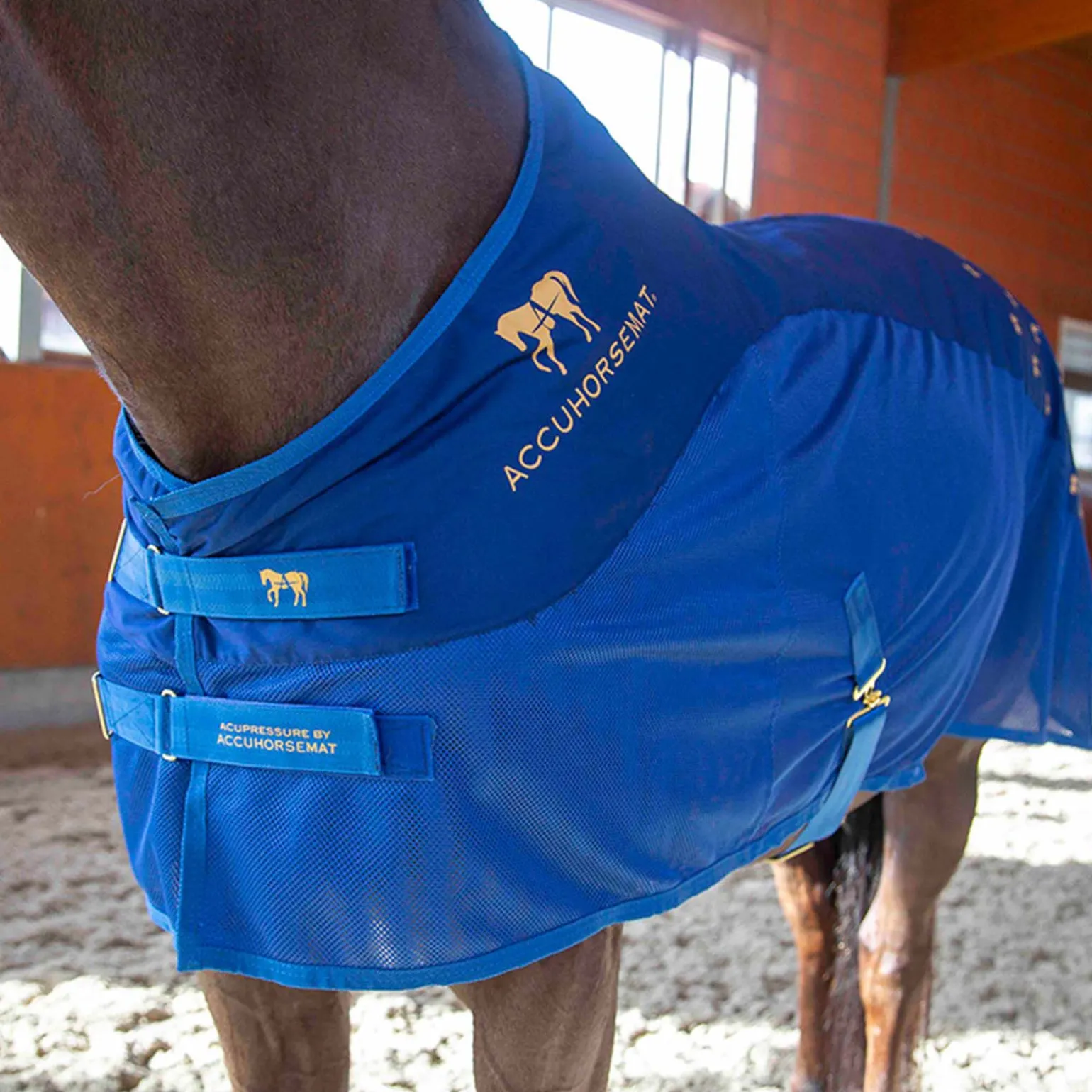 Accuhorsemat Cooler