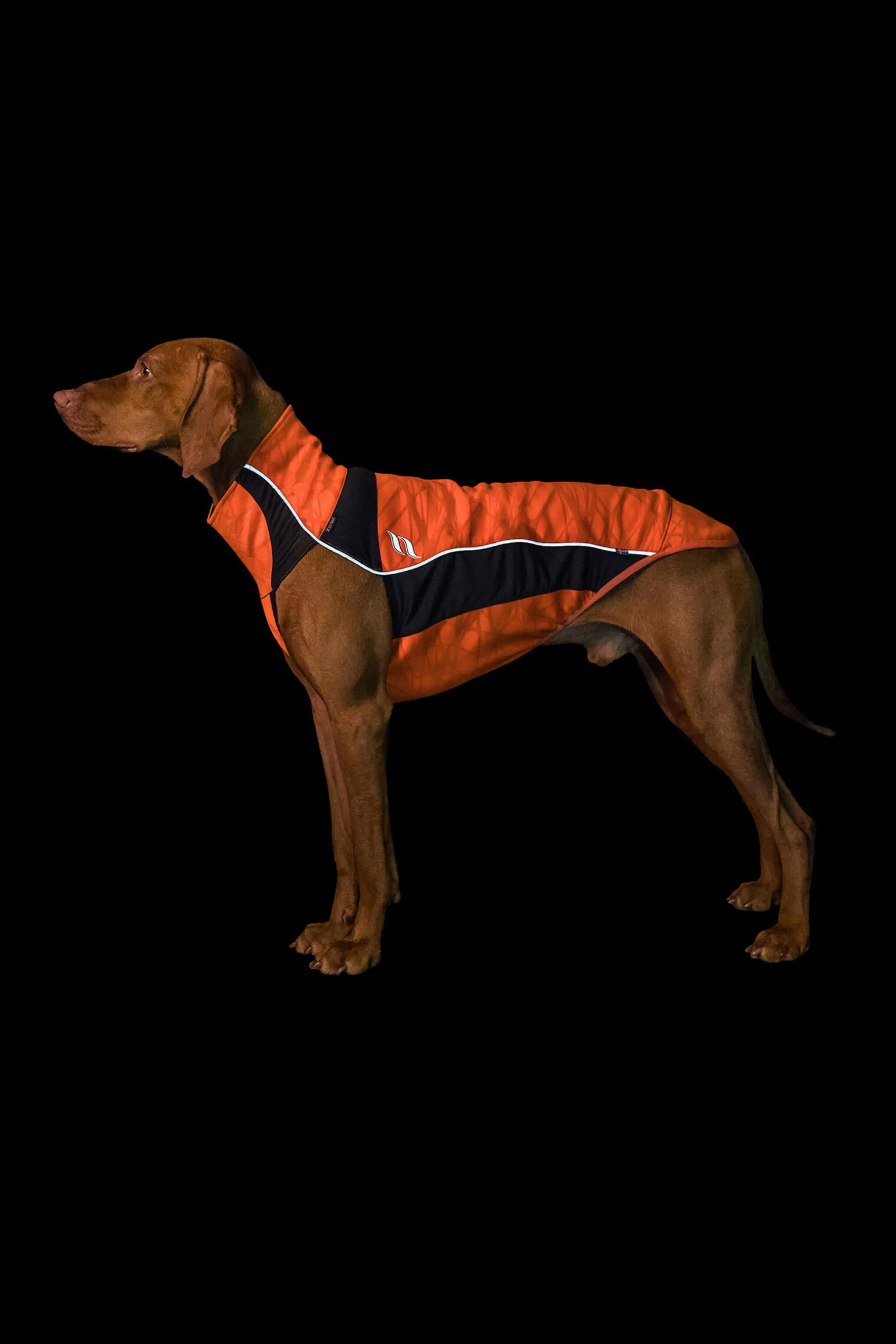Back on Track Eddie Petite High-Visibility genser, 30-35 cm