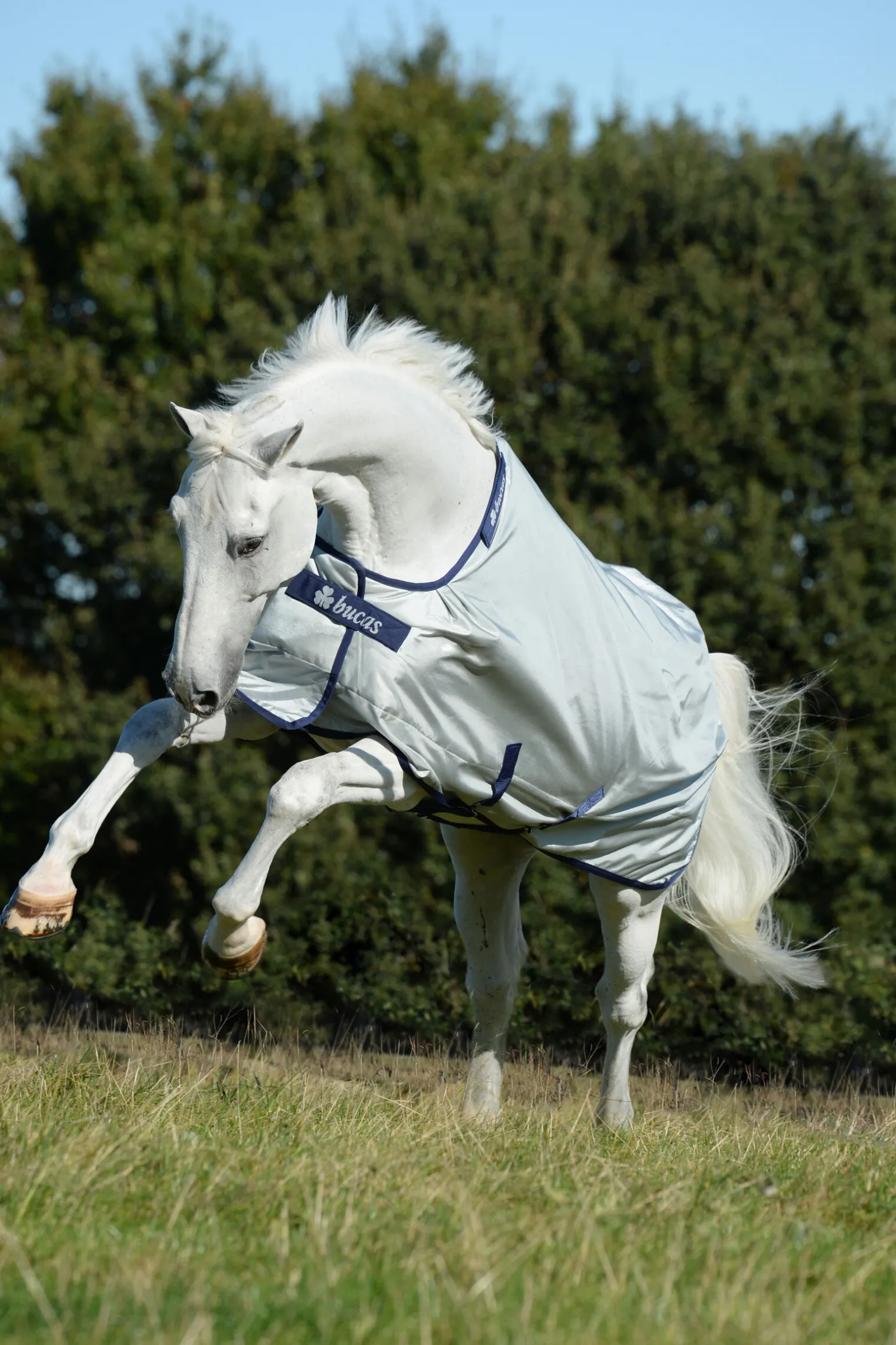 Bucas Power utedekken med bred halsåpning, 0g