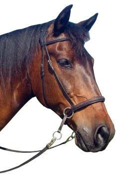F.R.A. Freedom Riding Articles Ulan biltess bridle (system 5) i lær, med lærtøyler