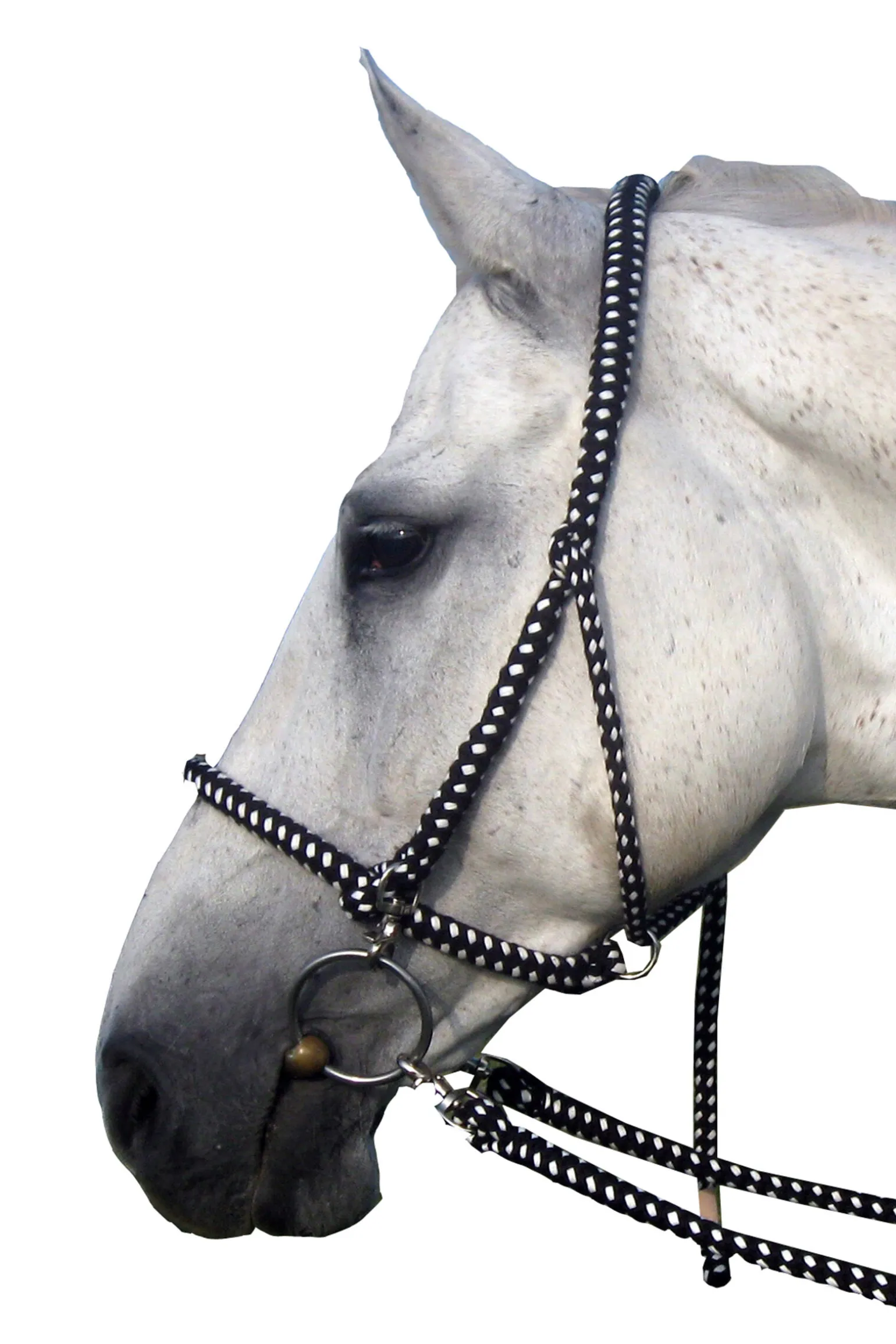 F.R.A. Freedom Riding Articles Gregor gime/hodelag inkludert bomullstøyler