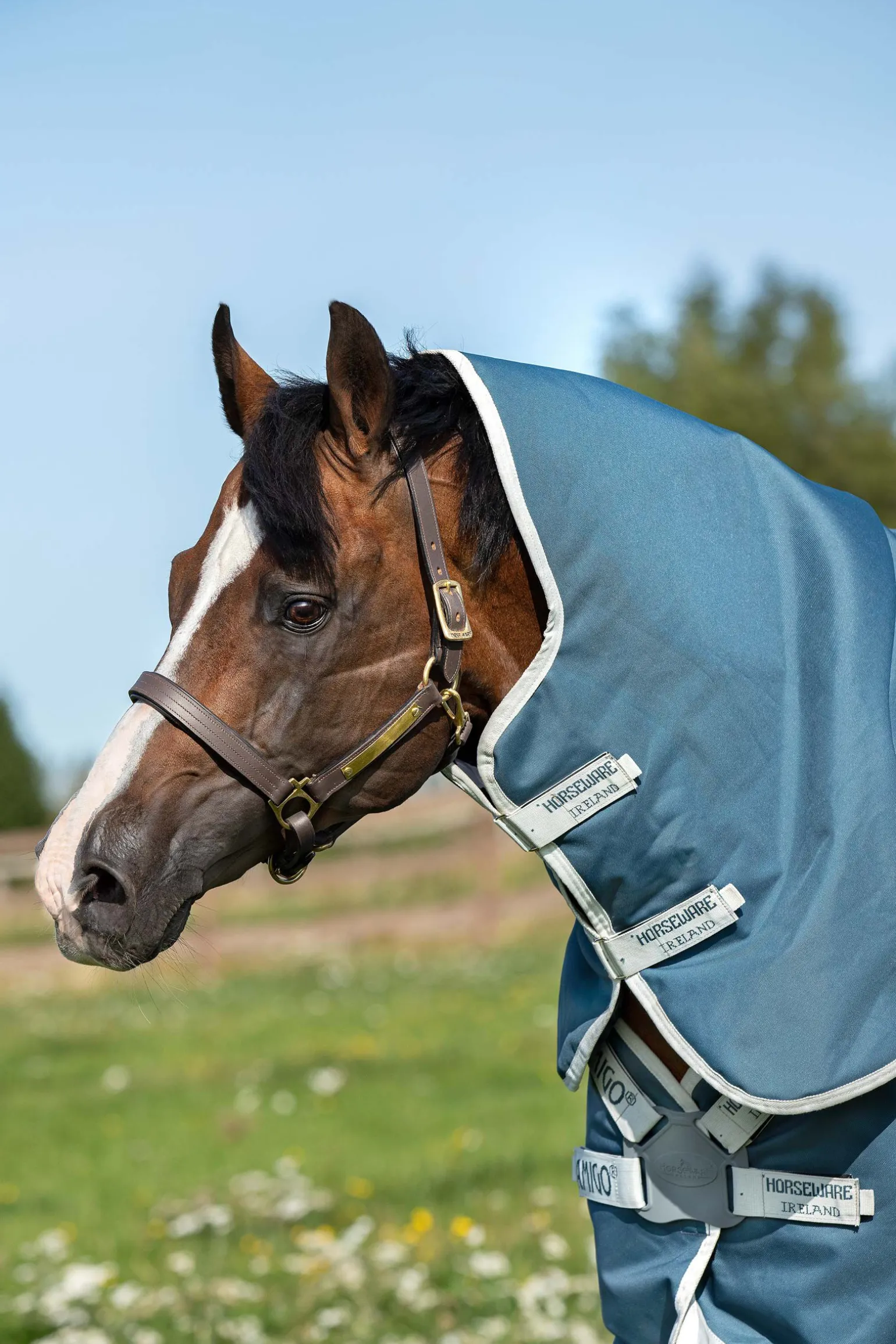 Horseware Amigo AmEco 12 Plus utedekken med avtakbar nakkedel, 100g