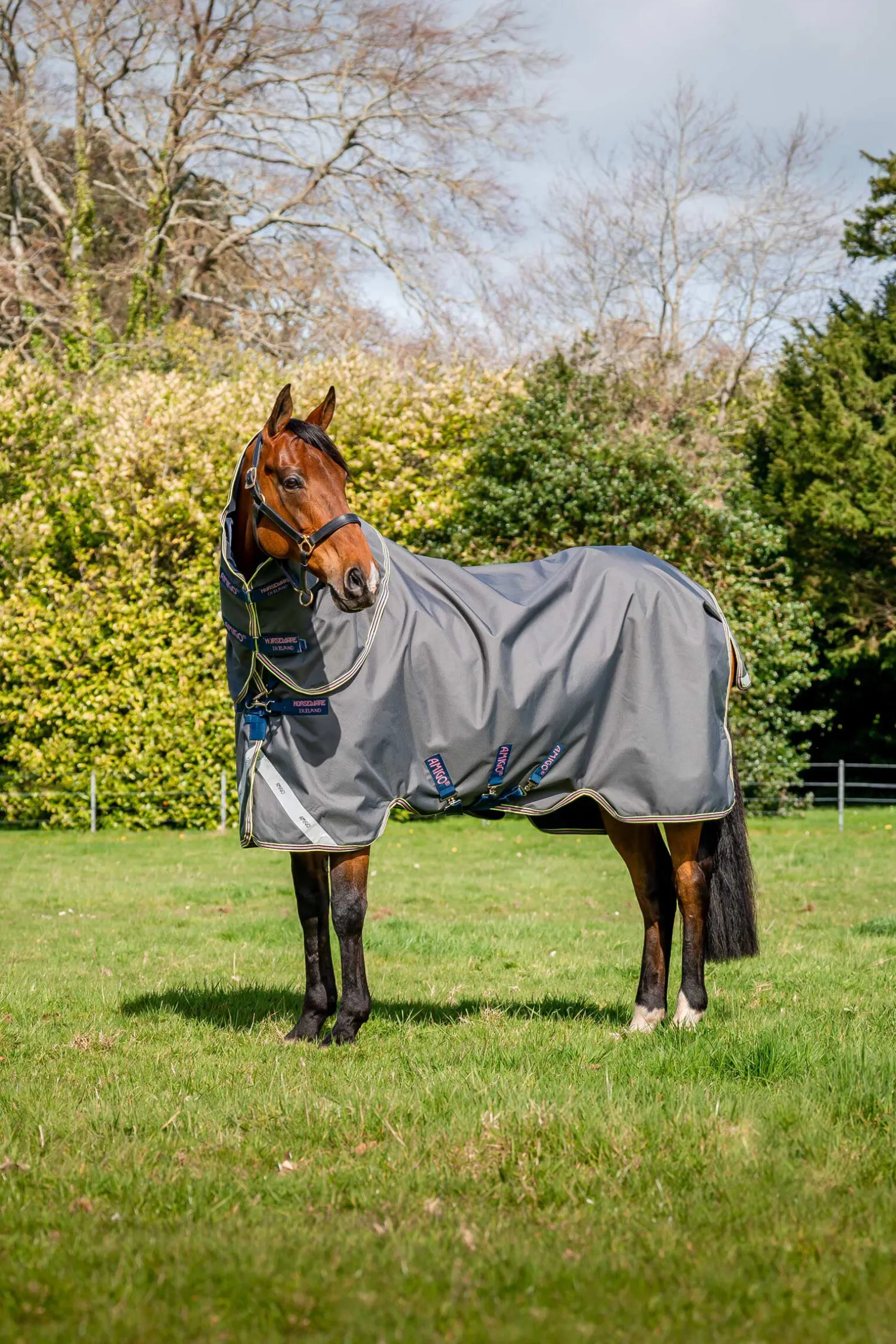 Horseware Amigo Bravo 12 Plus utedekken med avtakbar hals, 0g