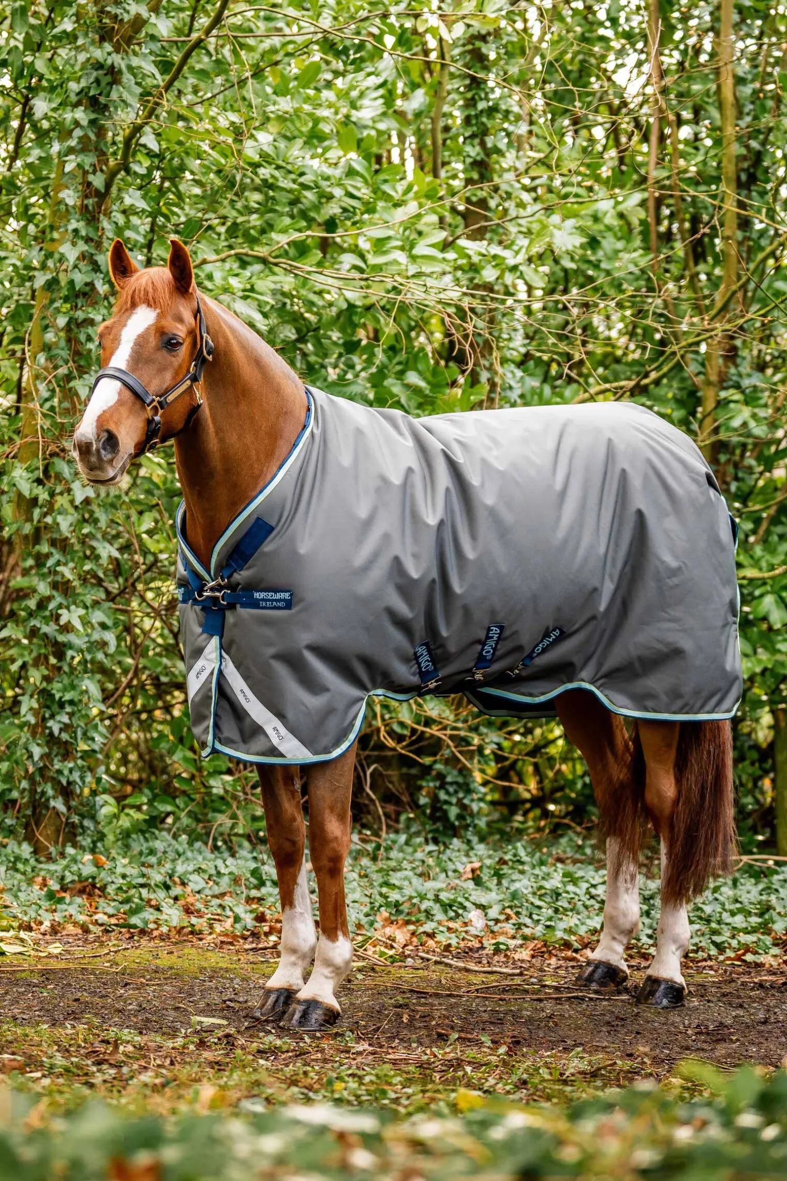 Horseware Amigo Bravo 12 Plus utedekken med avtakbar hals, 400g