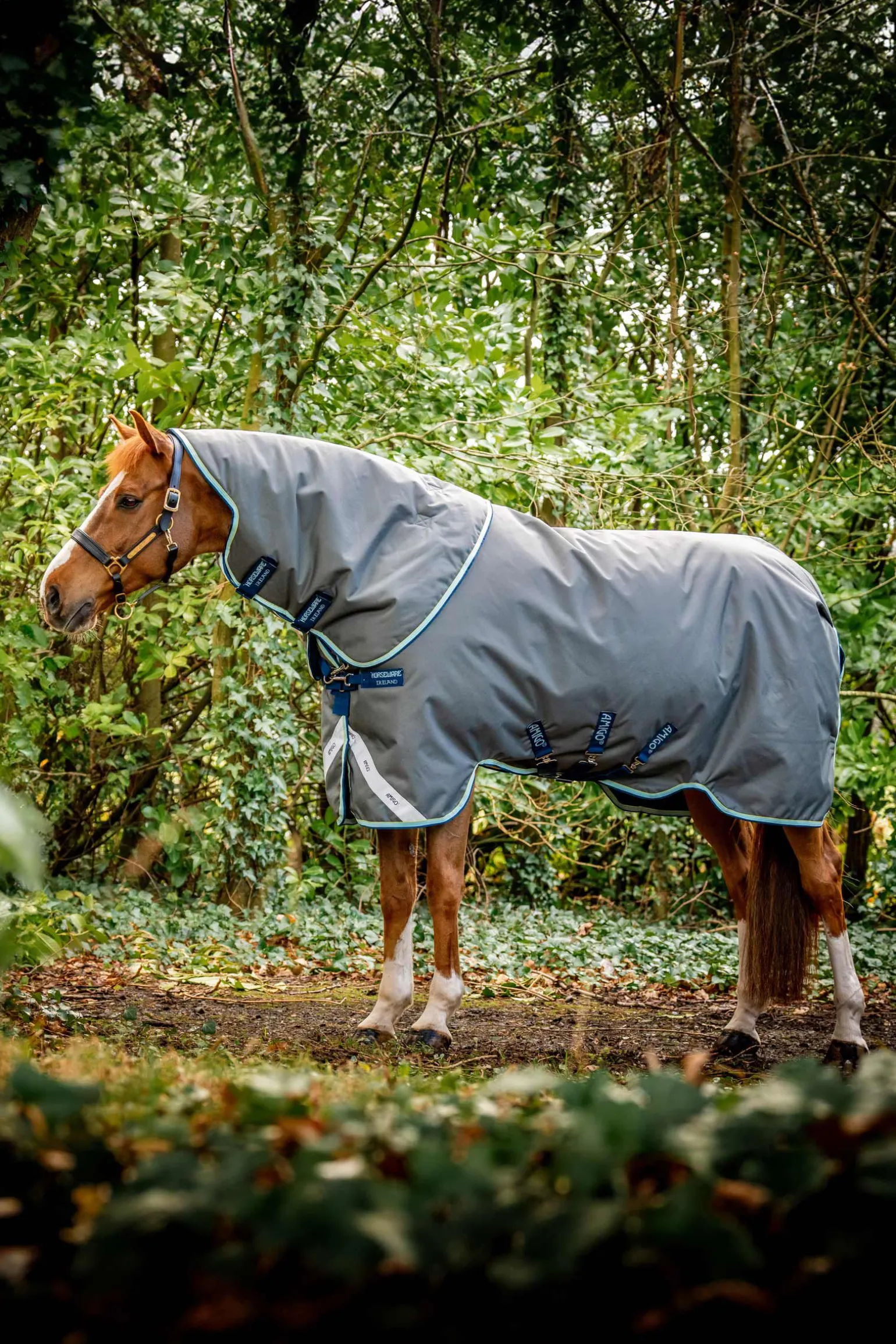 Horseware Amigo Bravo 12 Plus utedekken med avtakbar hals, 400g