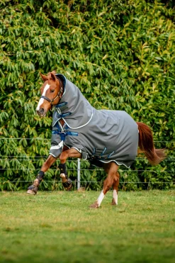 Horseware Amigo Bravo 12 Plus utedekken med avtakbar hals, 400g