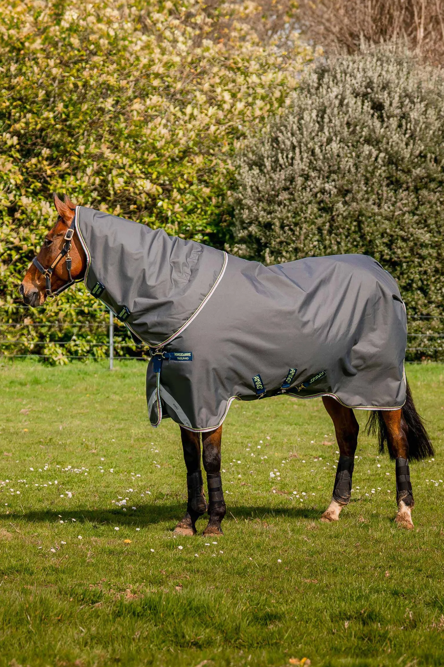 Horseware Amigo Bravo 12 Plus utedekken, 250g