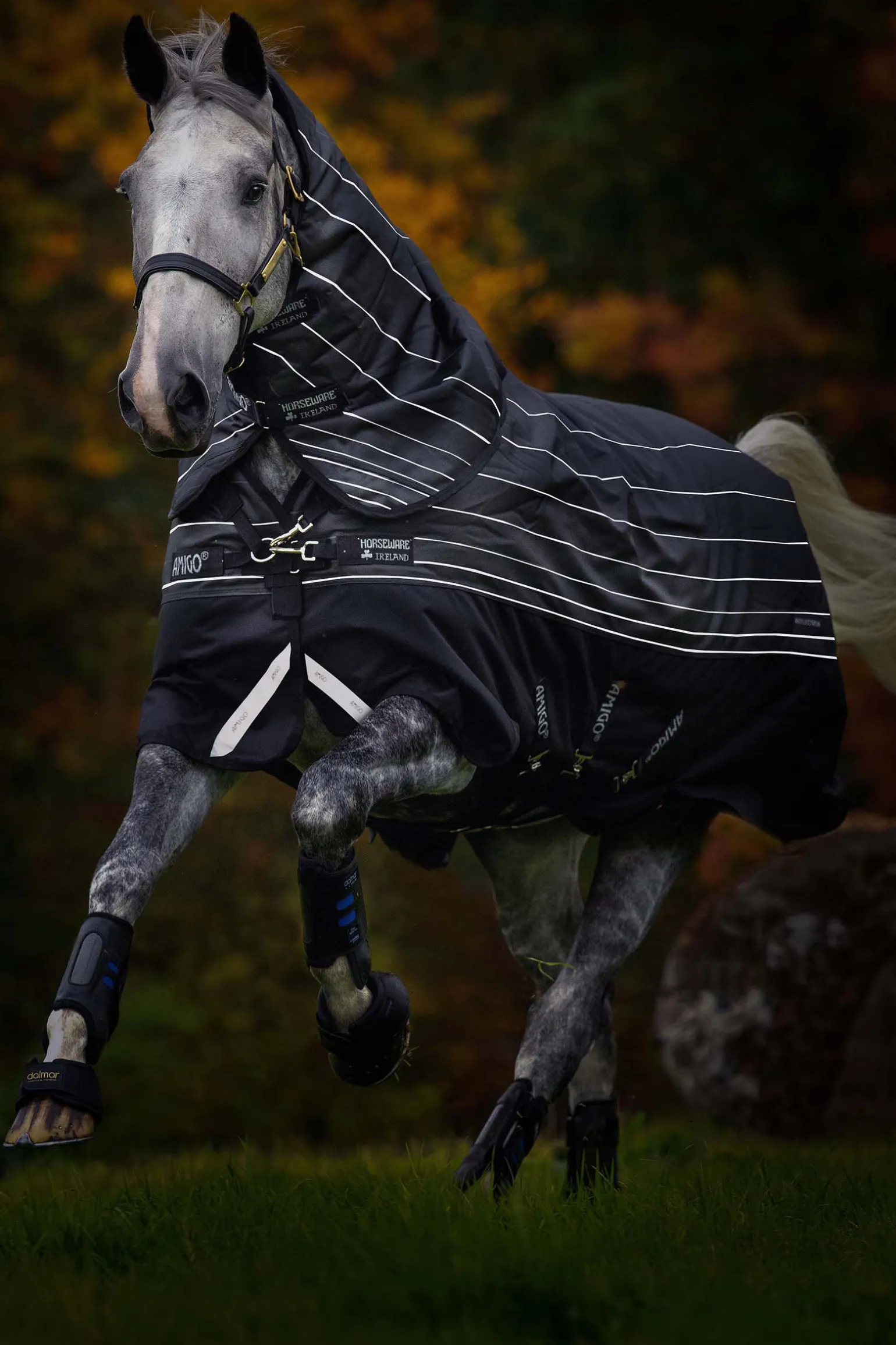 Horseware Amigo Bravo 12 Reflectech Plus utedekken med avtakbar hals, 250g