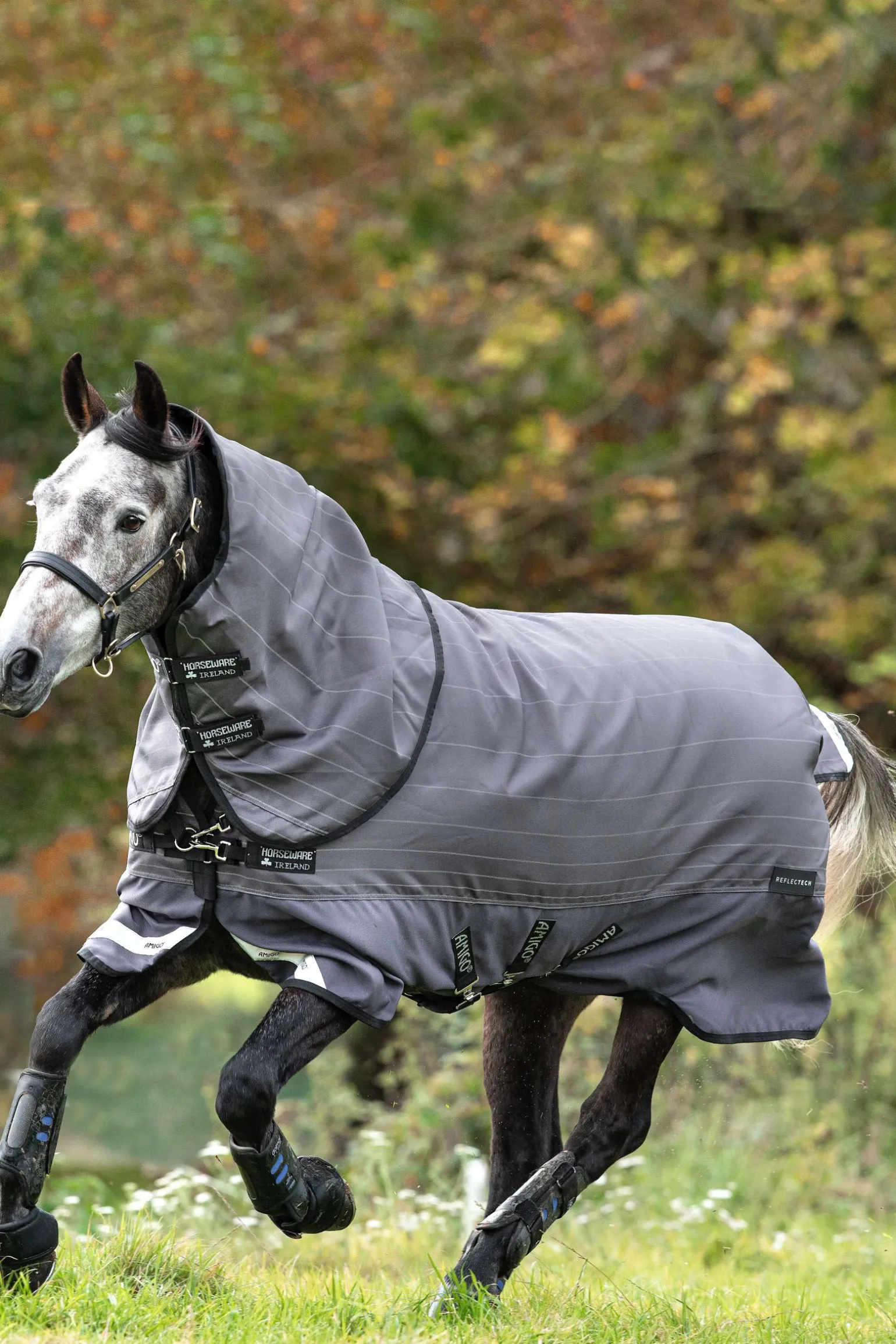 Horseware Amigo Bravo 12 Reflectech Plus, utedekken med avtakbar hals, 100 gram