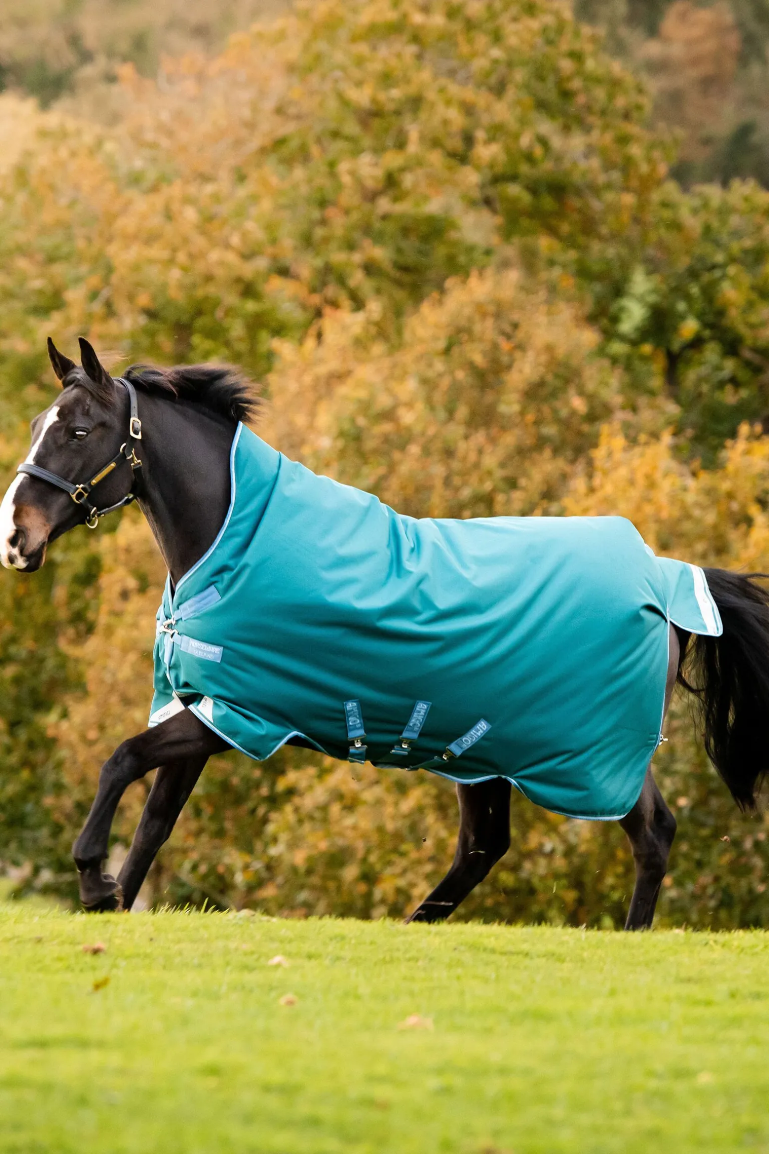 Horseware Amigo Bravo 12 Wug utedekken med høy hals, 0 g