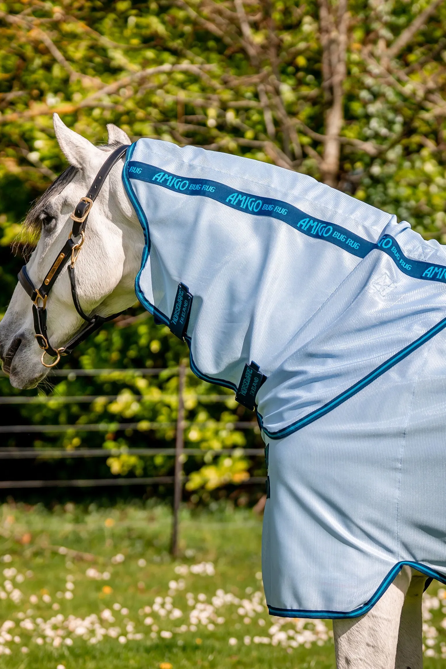 Horseware Amigo Fluedekken