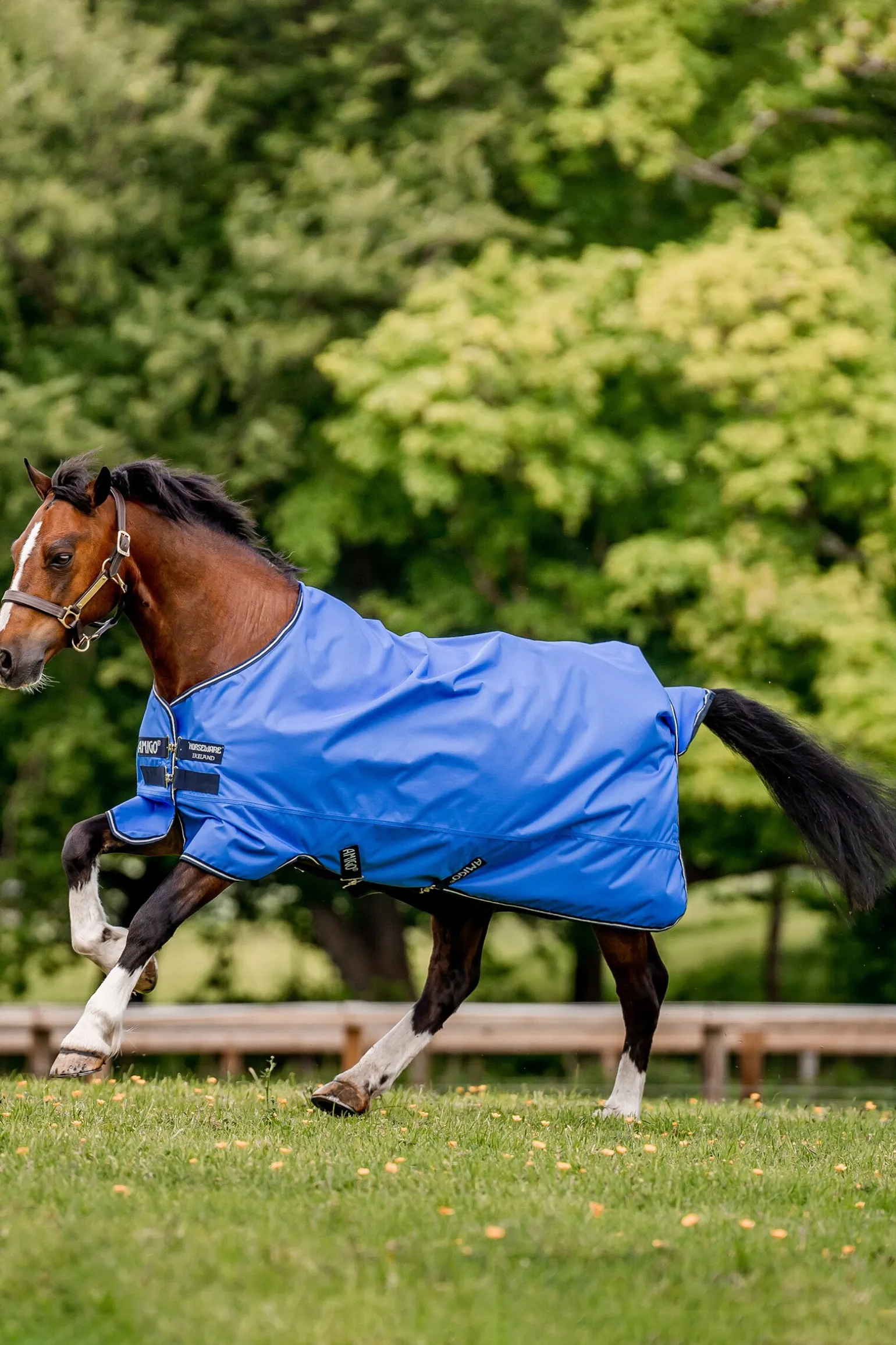 Horseware Amigo Hero Ripstop utedekken, 0g