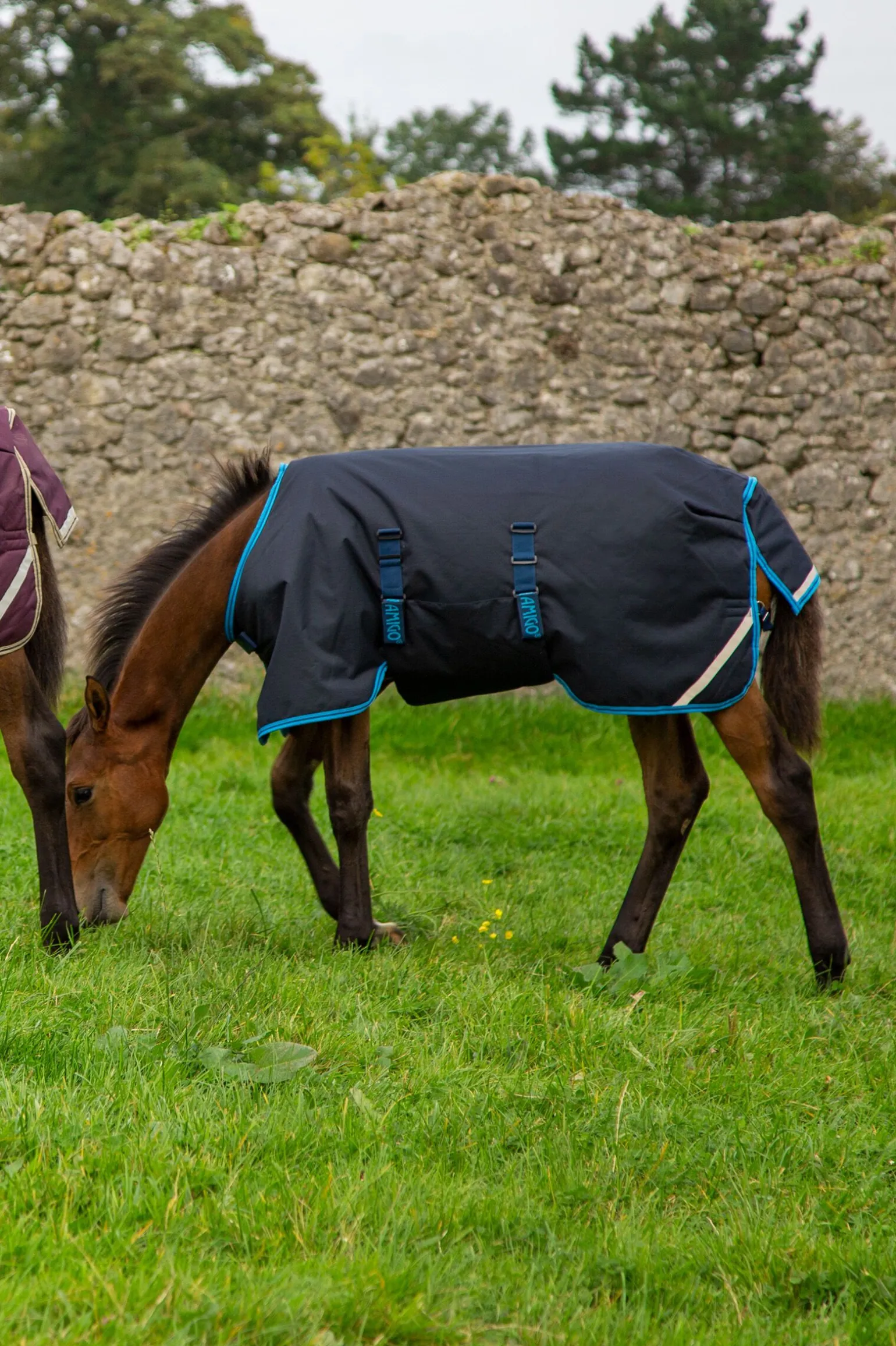 Horseware Amigo Ripstop følldekken, 50 gram