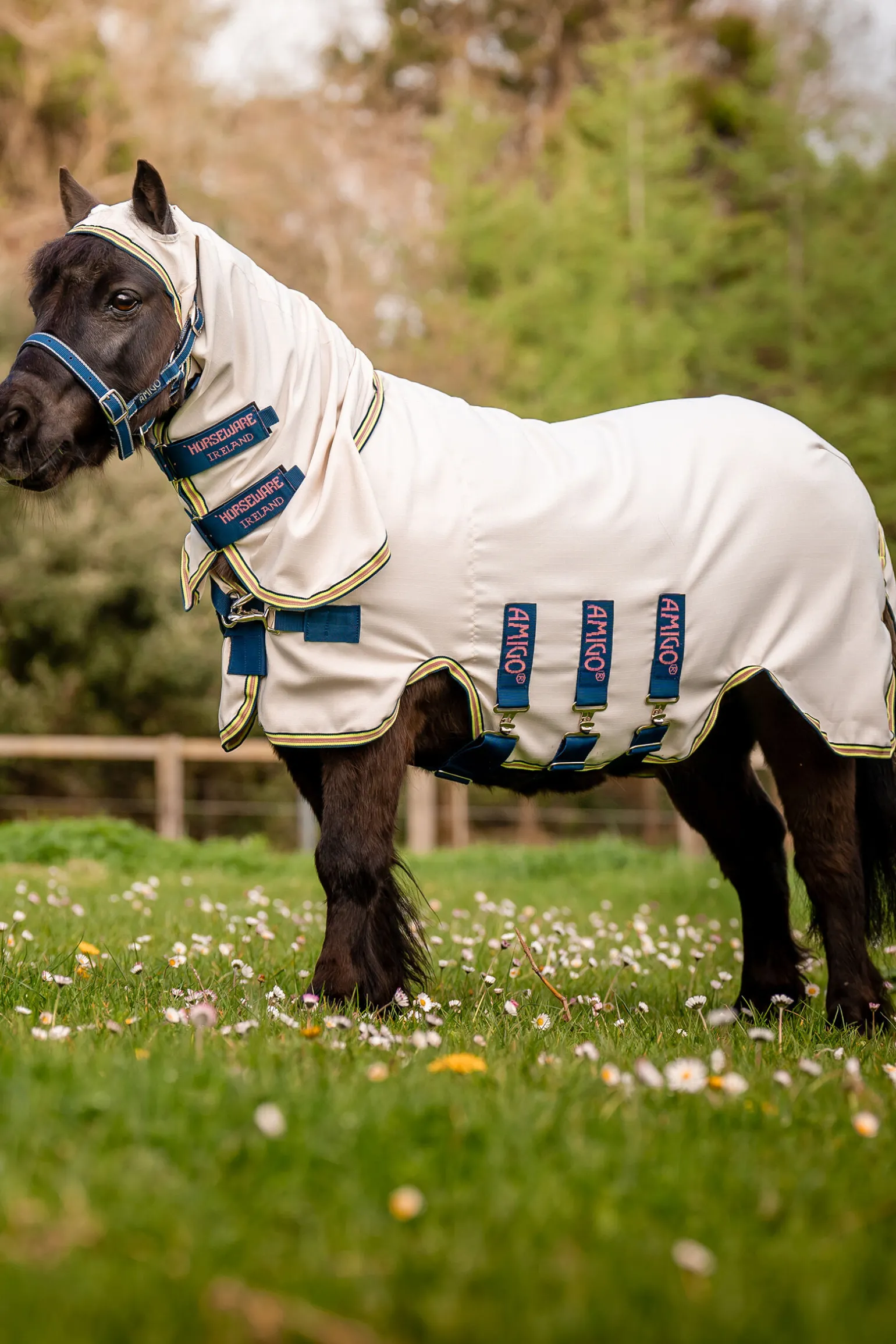 Horseware Amigo Ripstop Hoody Petite, fluedekken