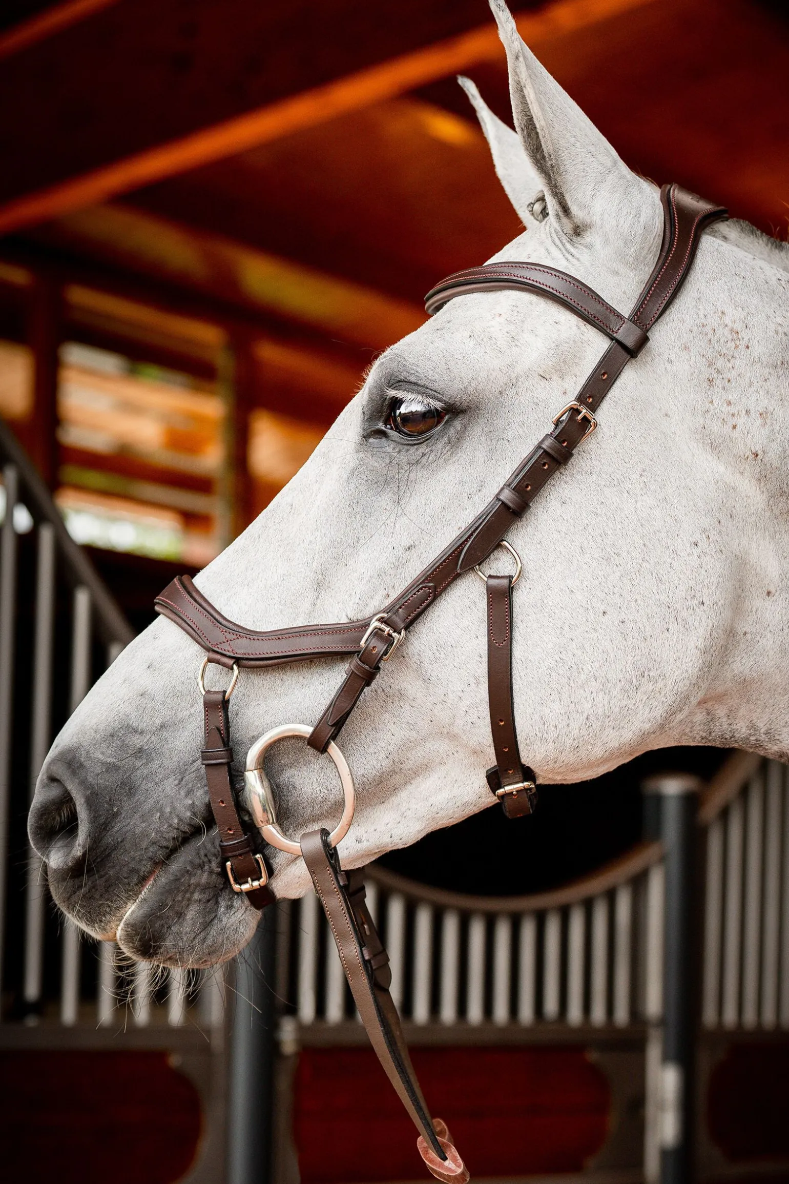 Horseware Micklem 2 Competition hodelag med gummitøyler