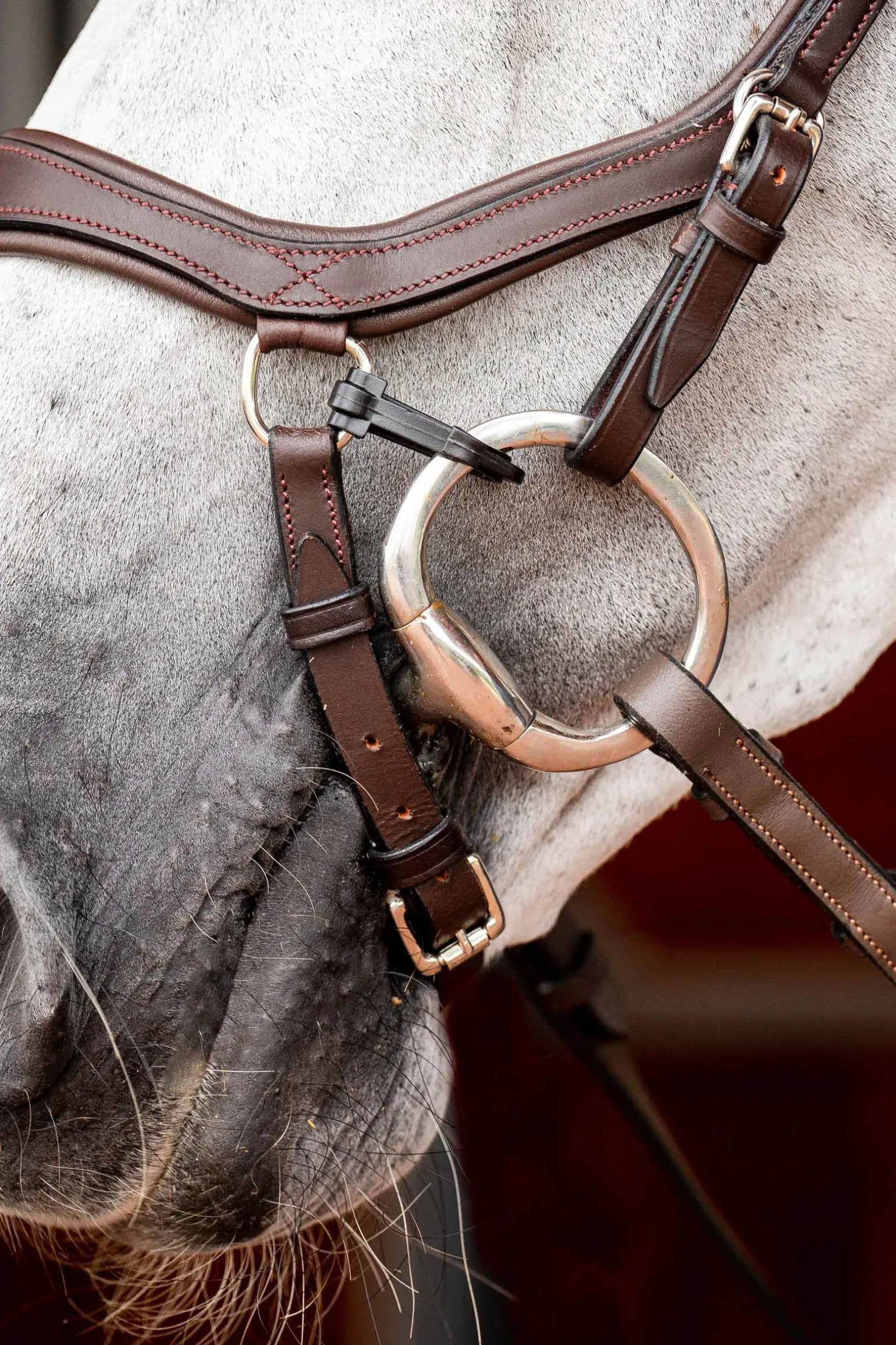 Horseware Micklem 2 Competition hodelag med gummitøyler