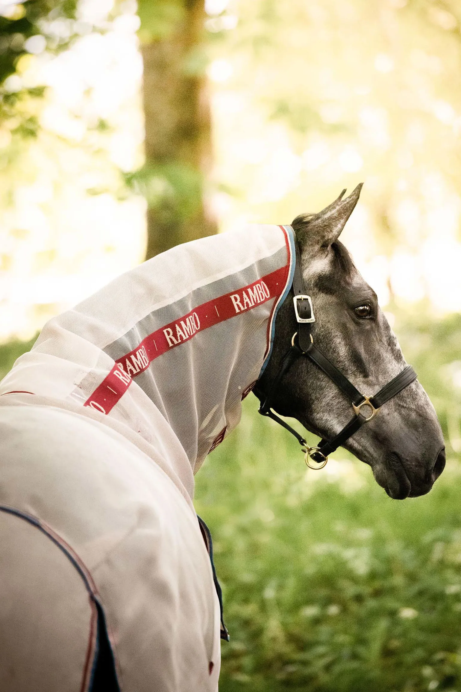 Horseware Rambo Protector fluedekken med avtakbar nakkedel og Disc-lukking
