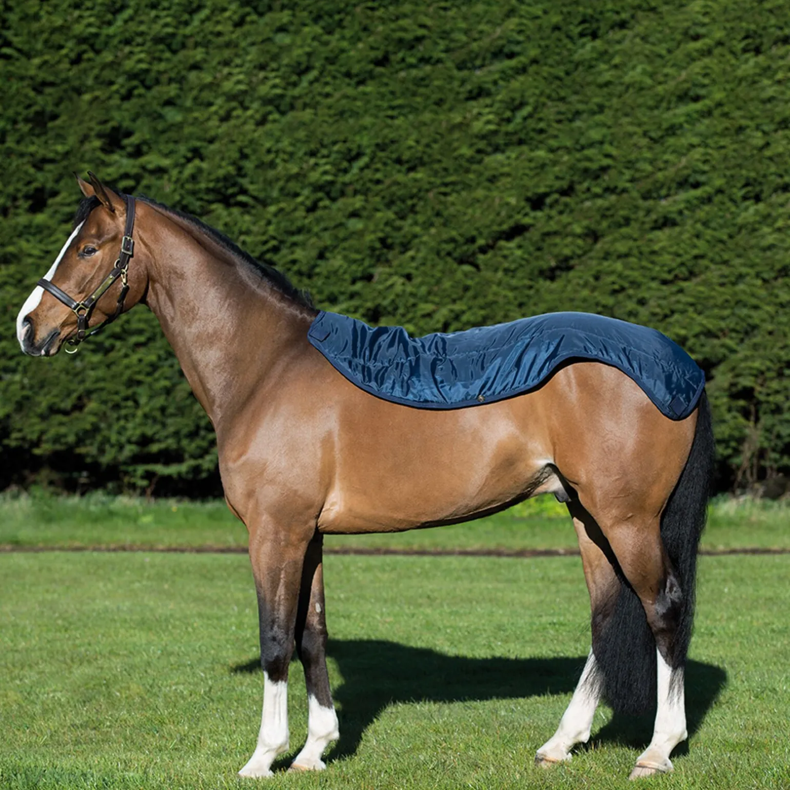 Horseware Rambo Summer Series, utedekken, 0 gram