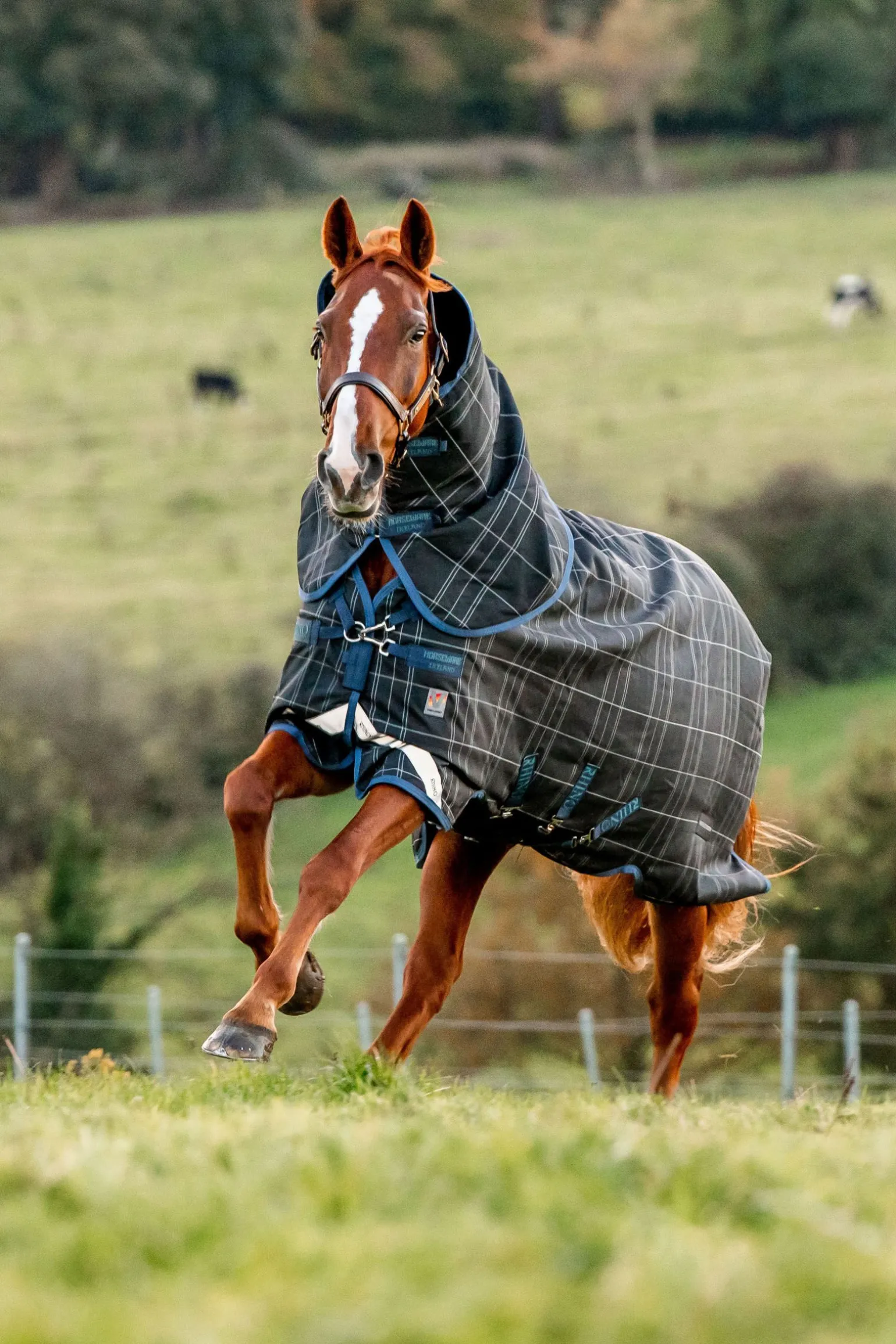 Horseware Rhino Refletech Plus Vari-Layer utedekken inkl. avtakbar hals, 250 gram