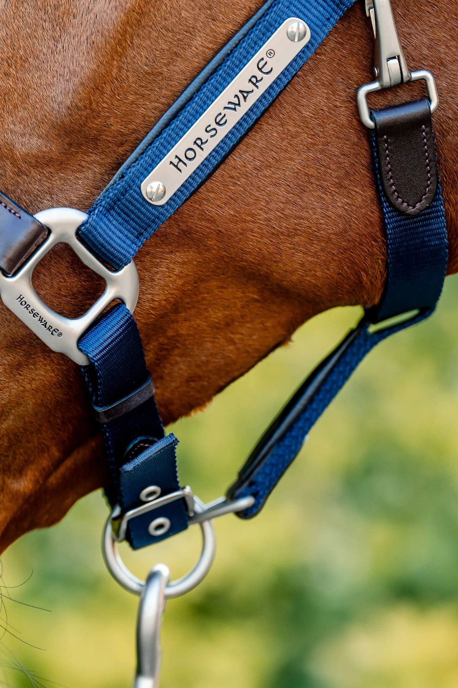 Horseware Signature Show Halter
