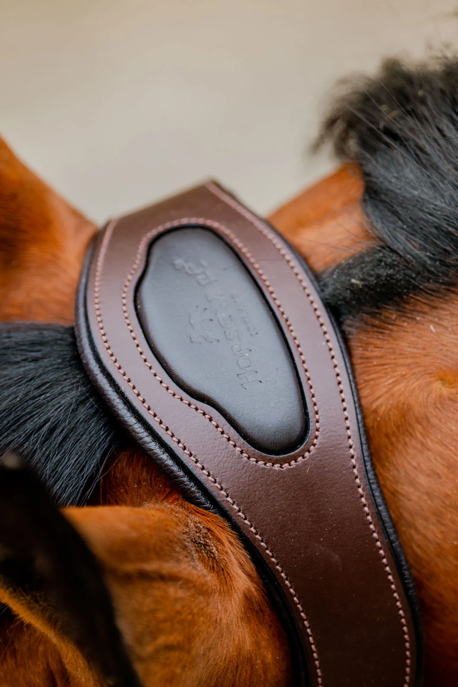 Horseware Signature Show Halter