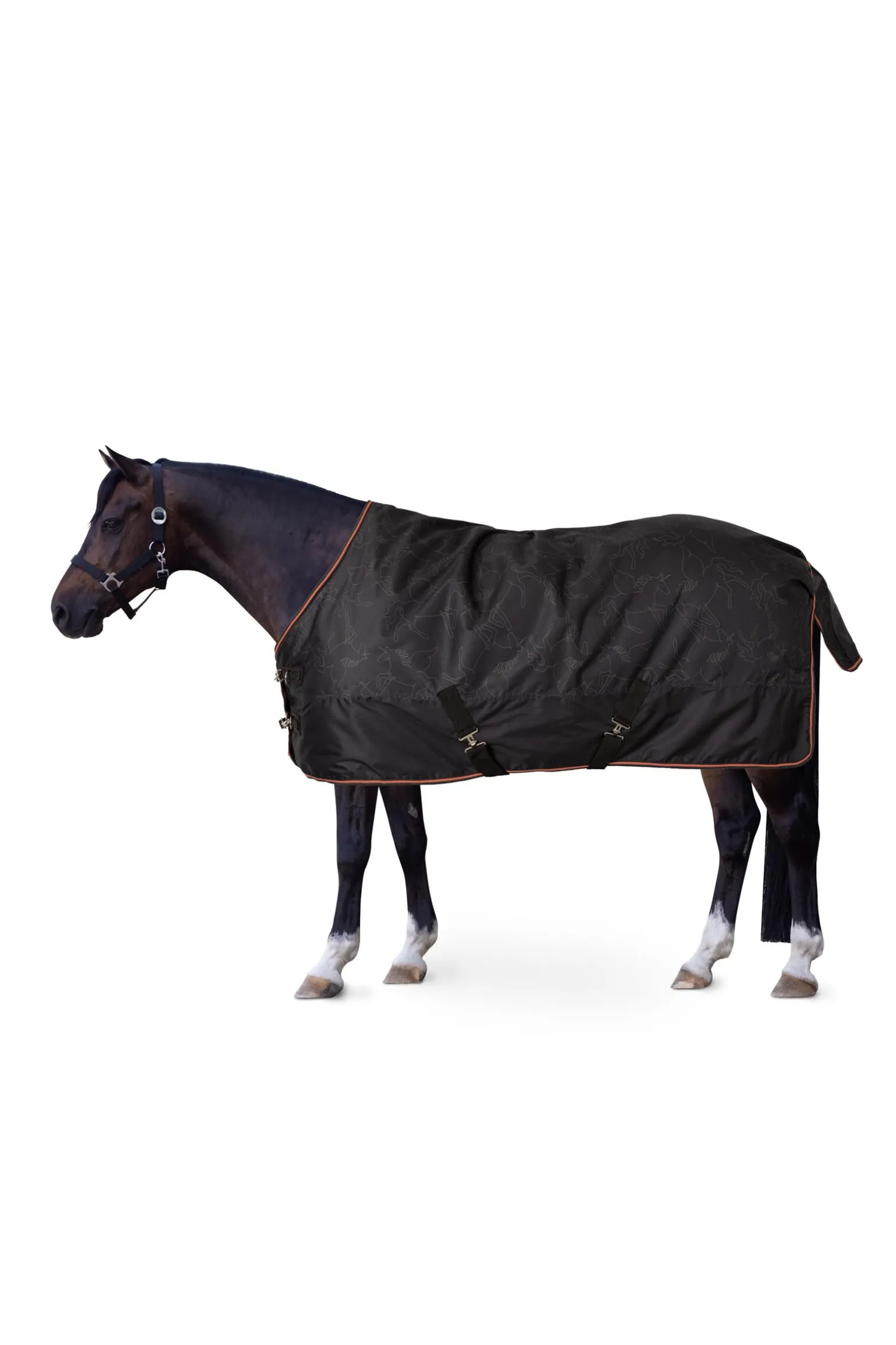 Horze Pegasus ponnidekken 200 g/m²