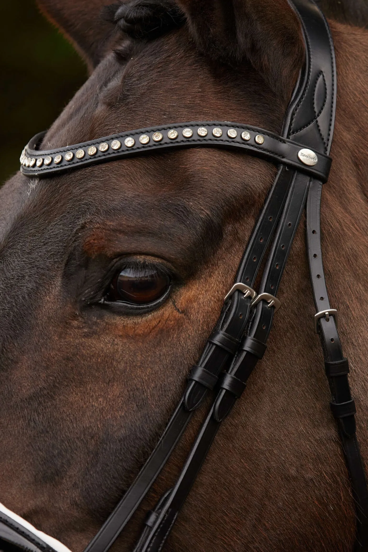 Kavalkade Charlotte dressurhodelag med pullback nesereim