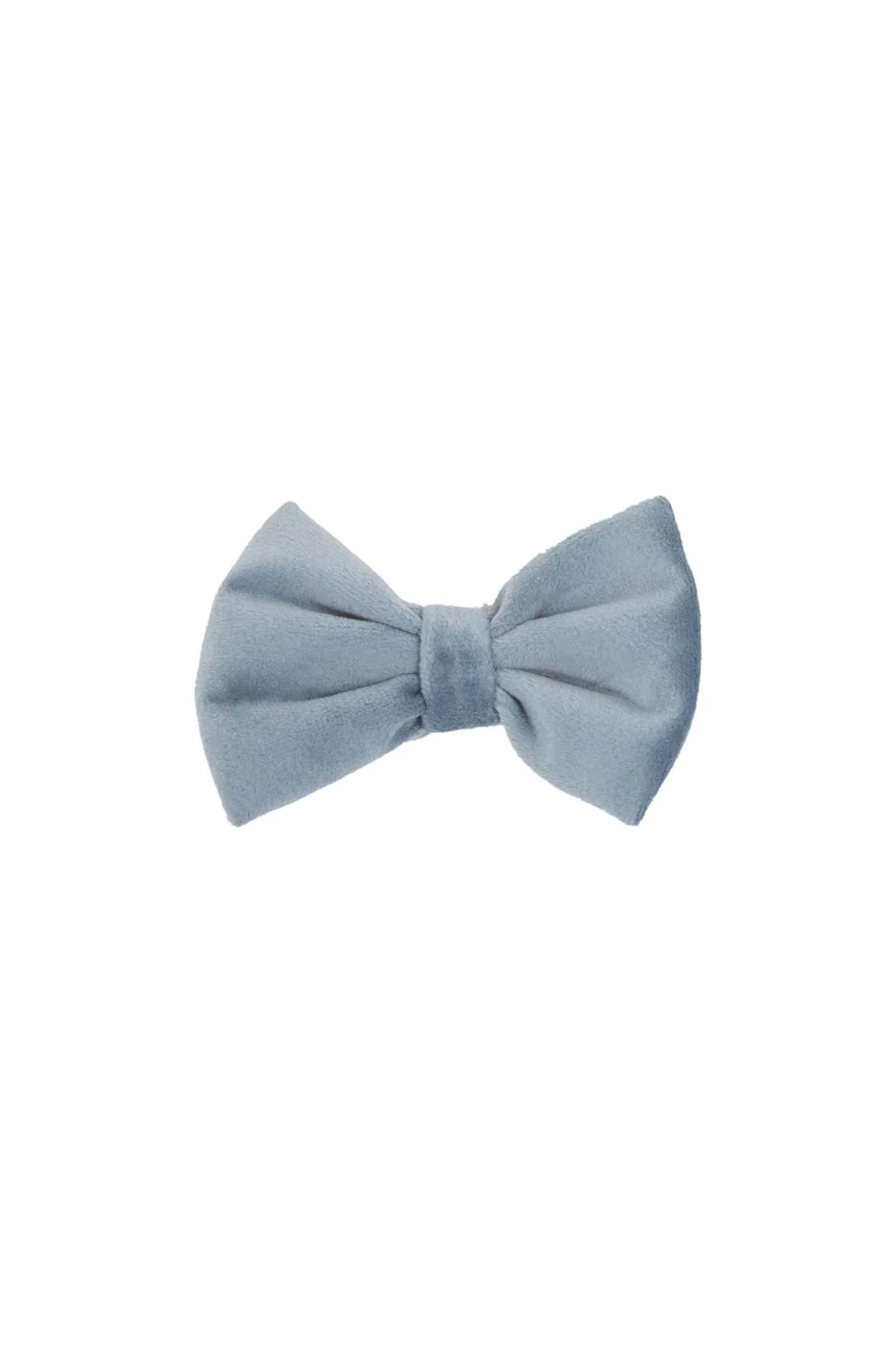 Kentucky Dogwear Velvet sløyfe