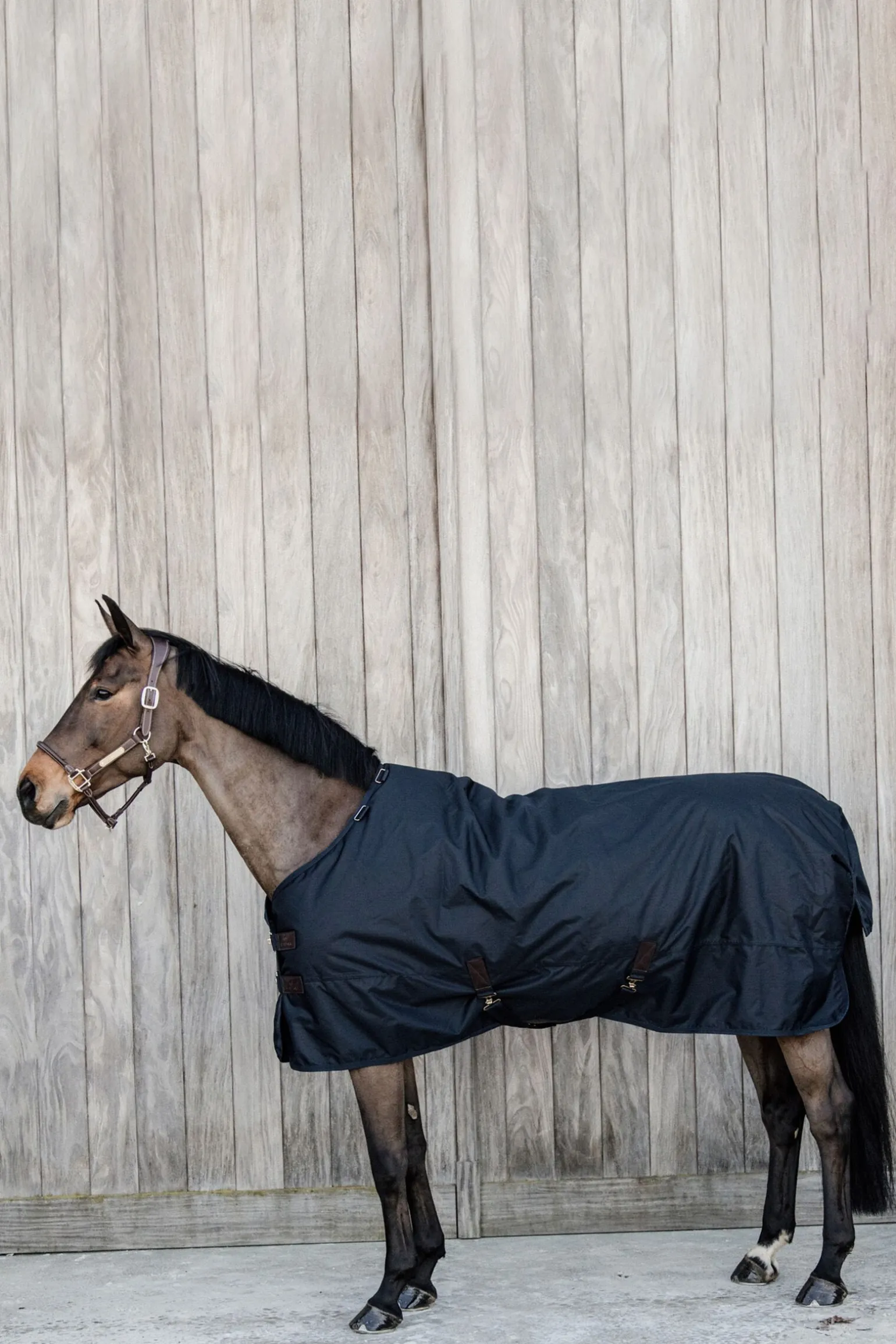 Kentucky Horsewear All Weather Waterproof Classic utedekken, 50 gram