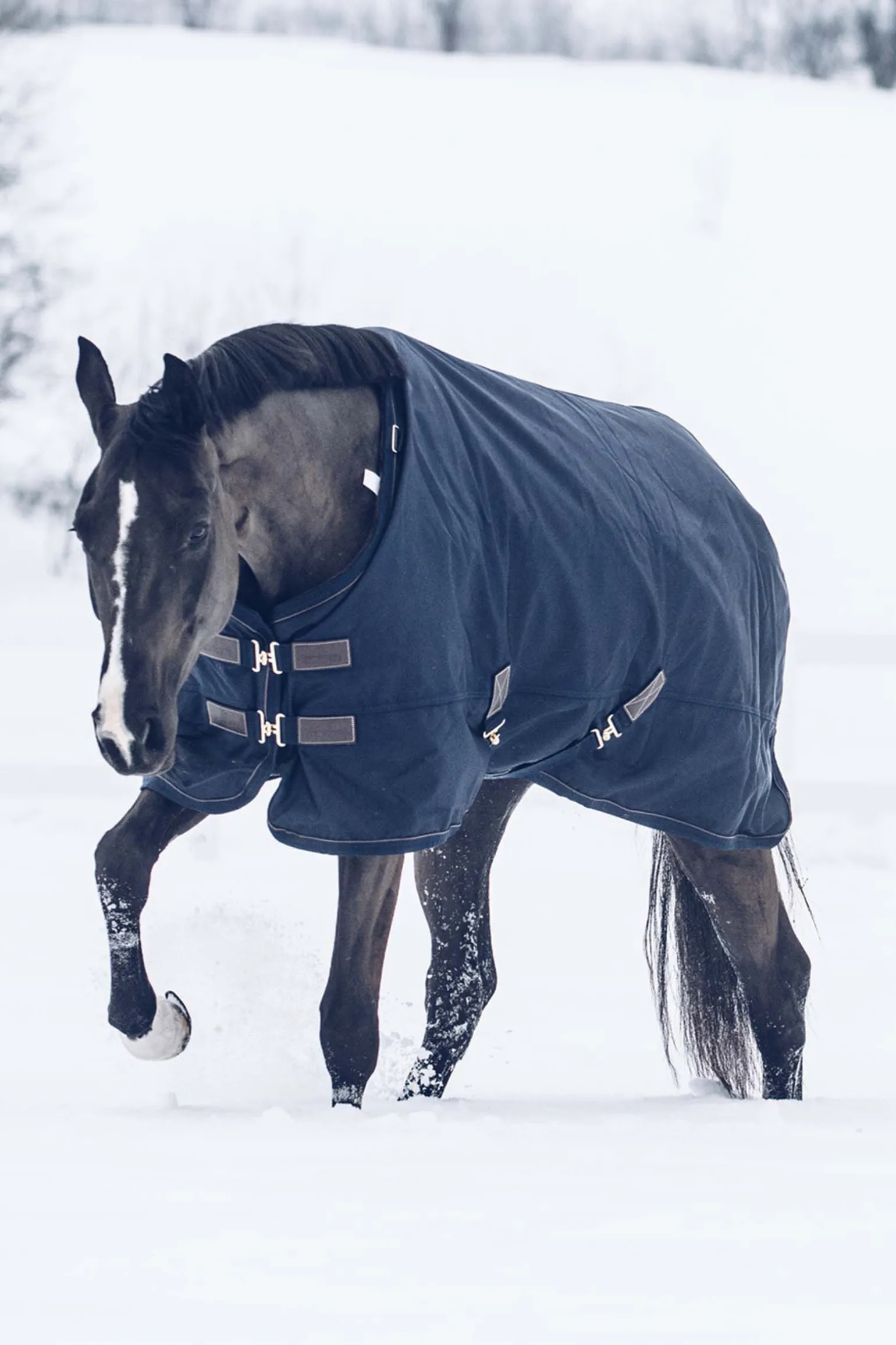 Kentucky Horsewear All Weather Classic utedekken, 300 gram