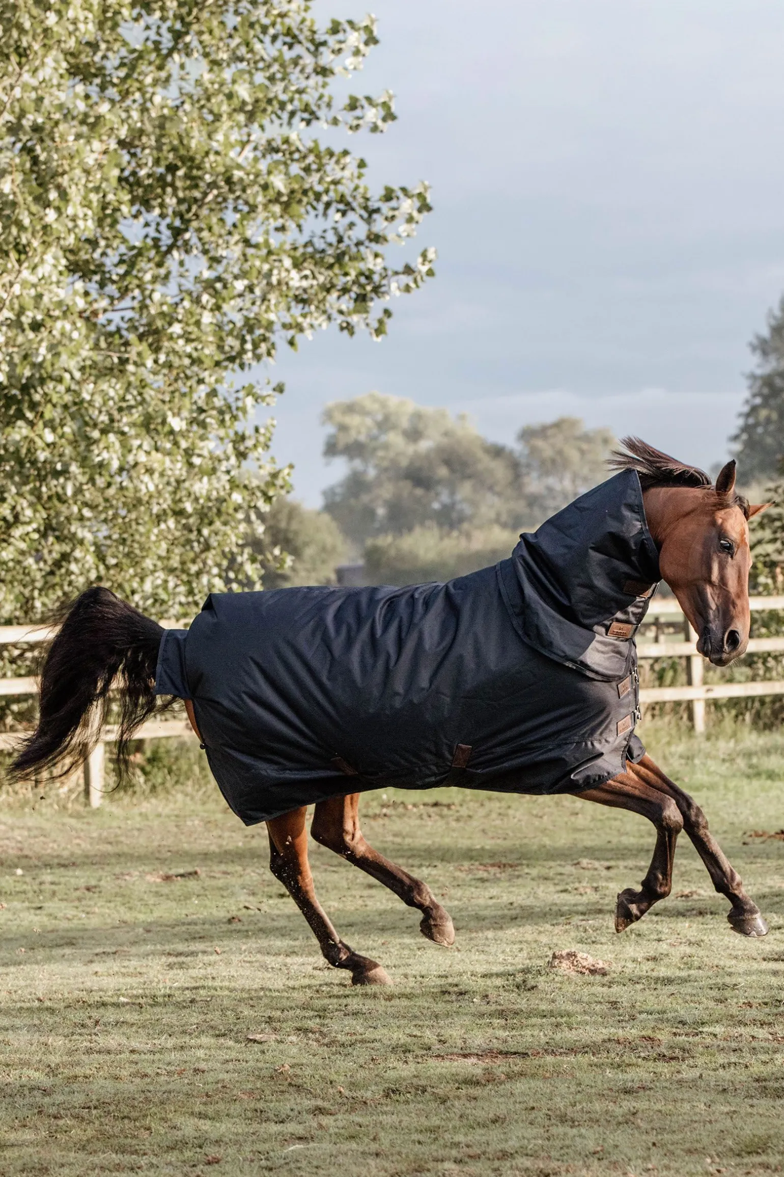 Kentucky Horsewear All Weather Waterproof Classic utedekken, 0 gram