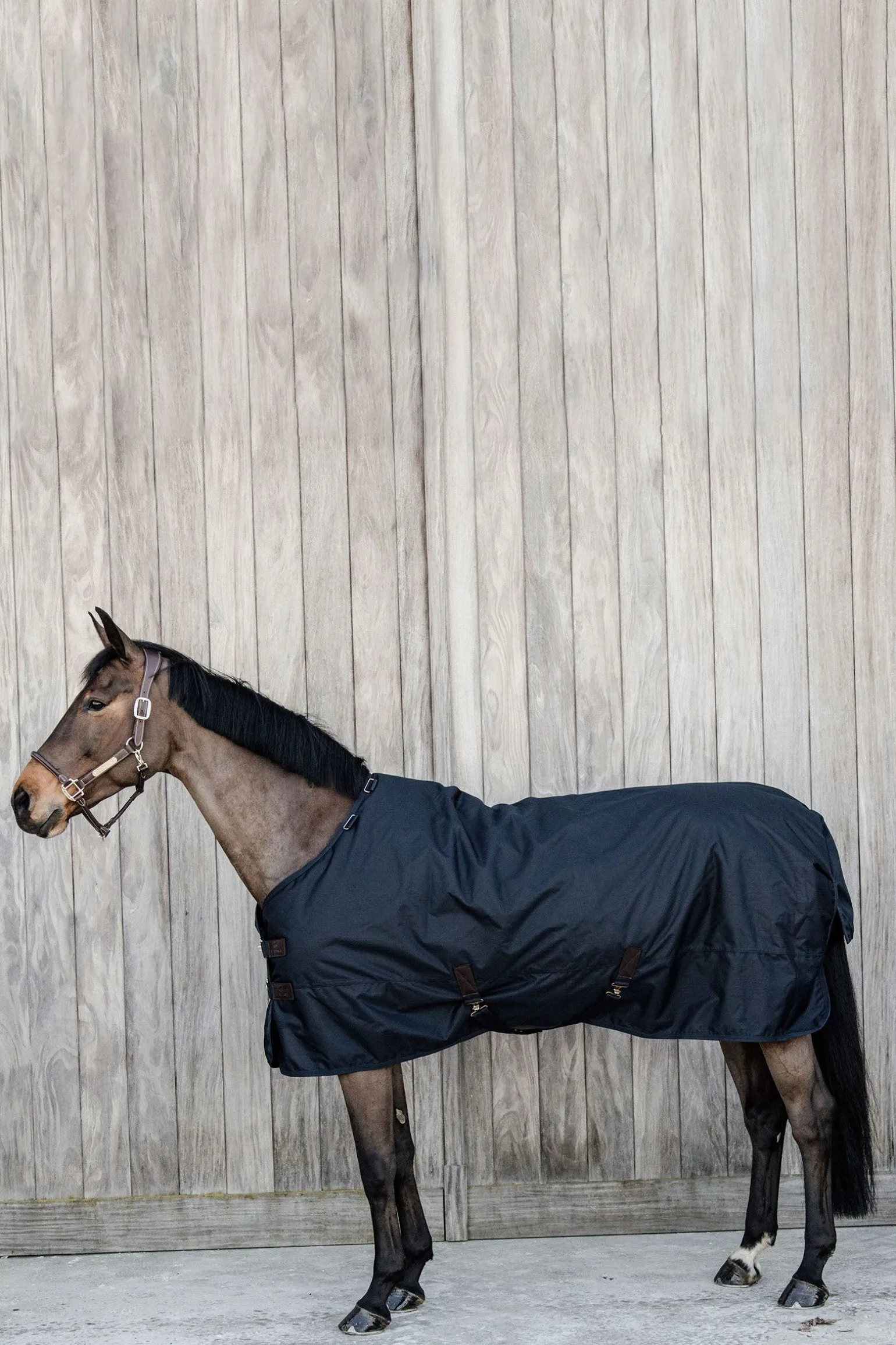 Kentucky Horsewear All Weather Classic utedekken, 150 gram