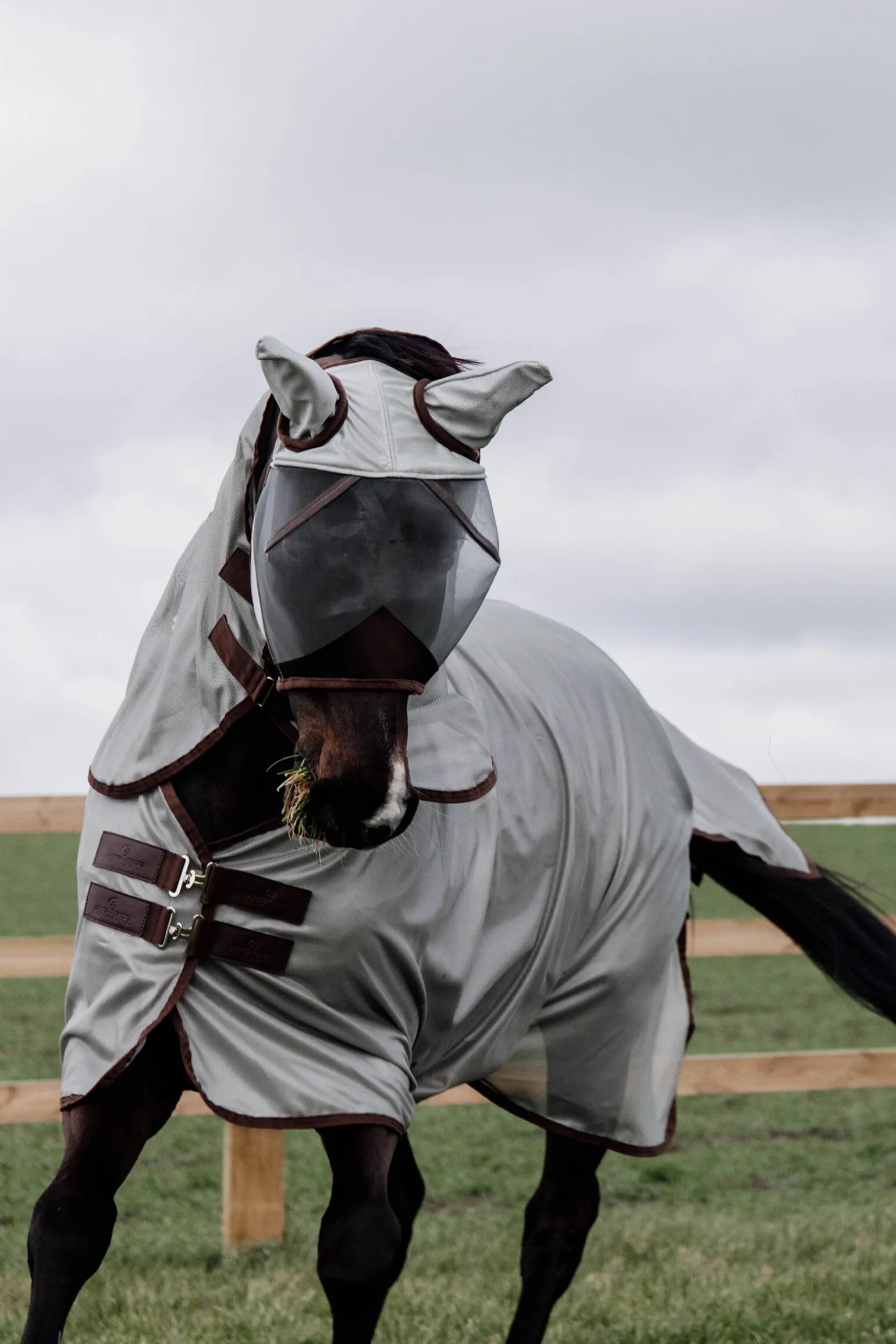 Kentucky Horsewear Classic Mesh fluedekken
