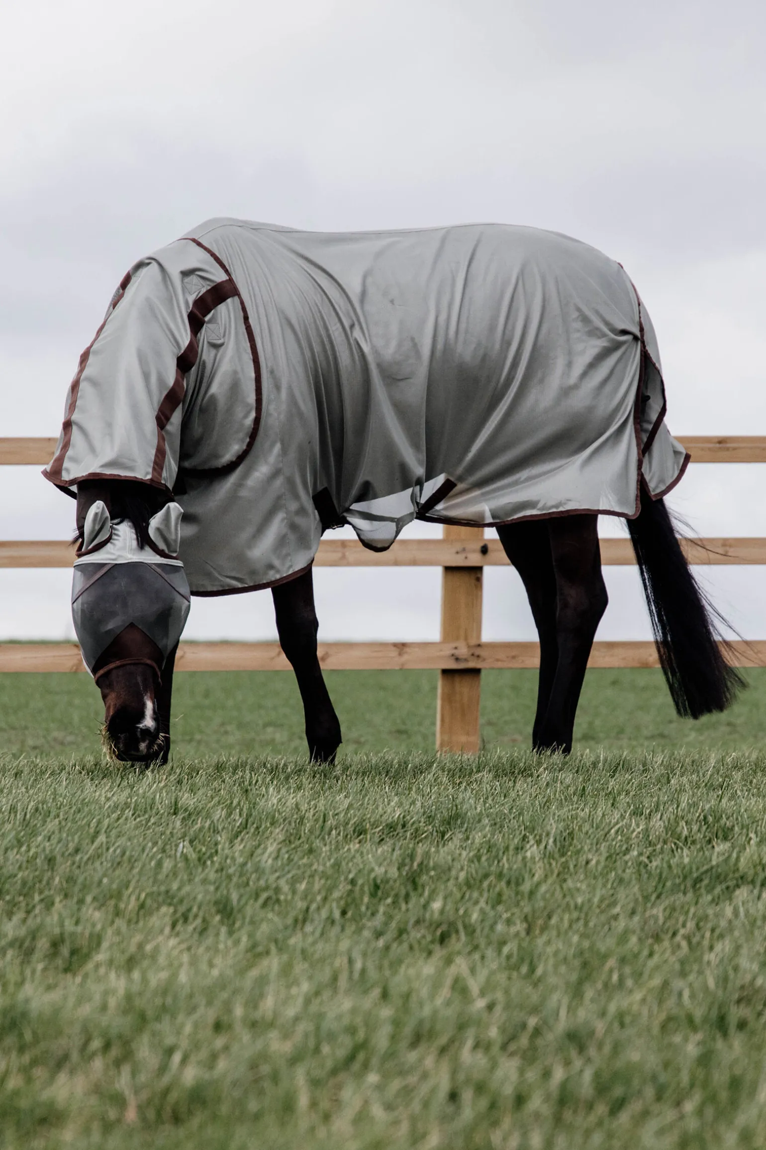 Kentucky Horsewear Classic Mesh fluedekken
