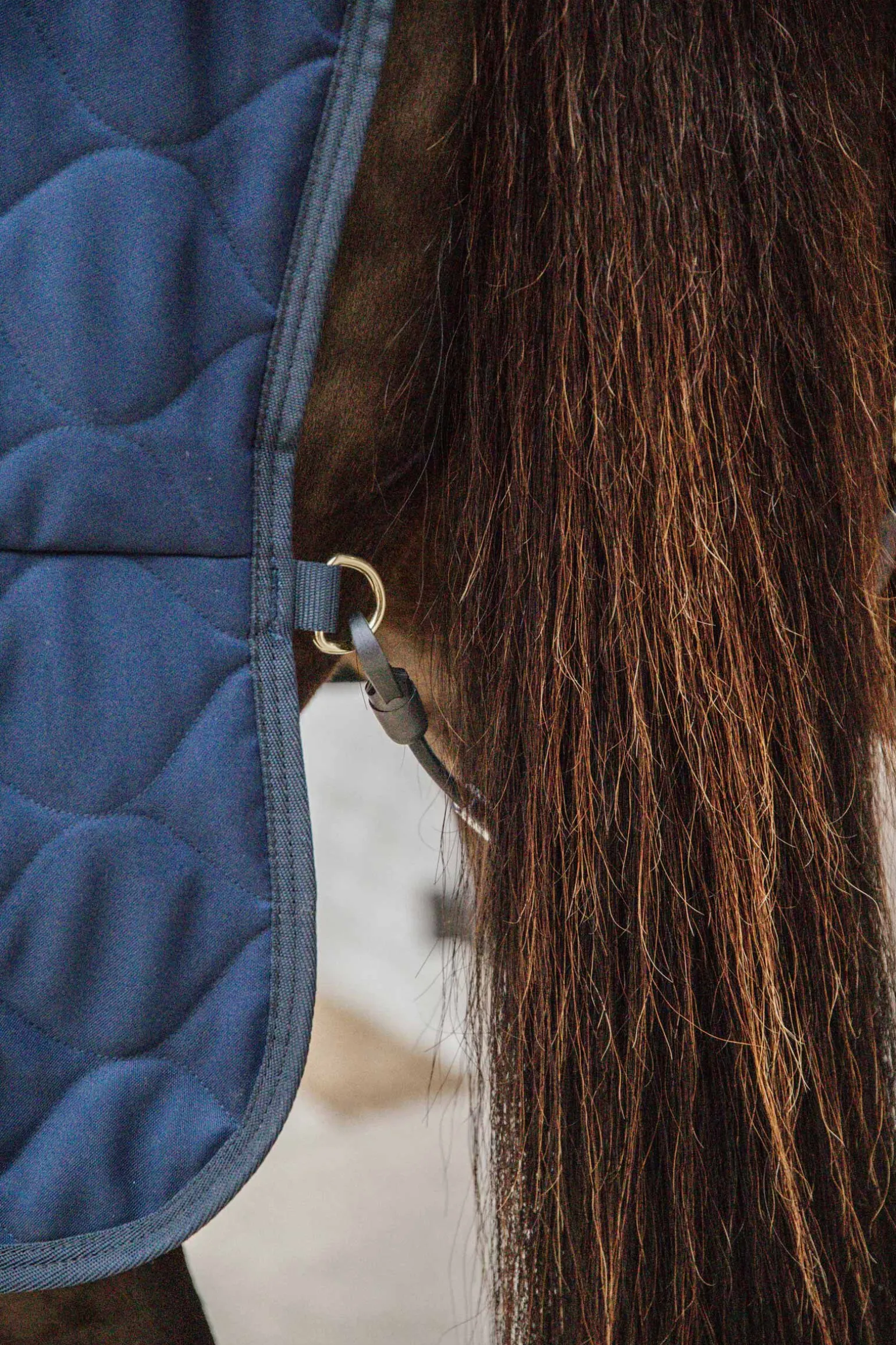 Kentucky Horsewear Comfort Stallteppe 200g