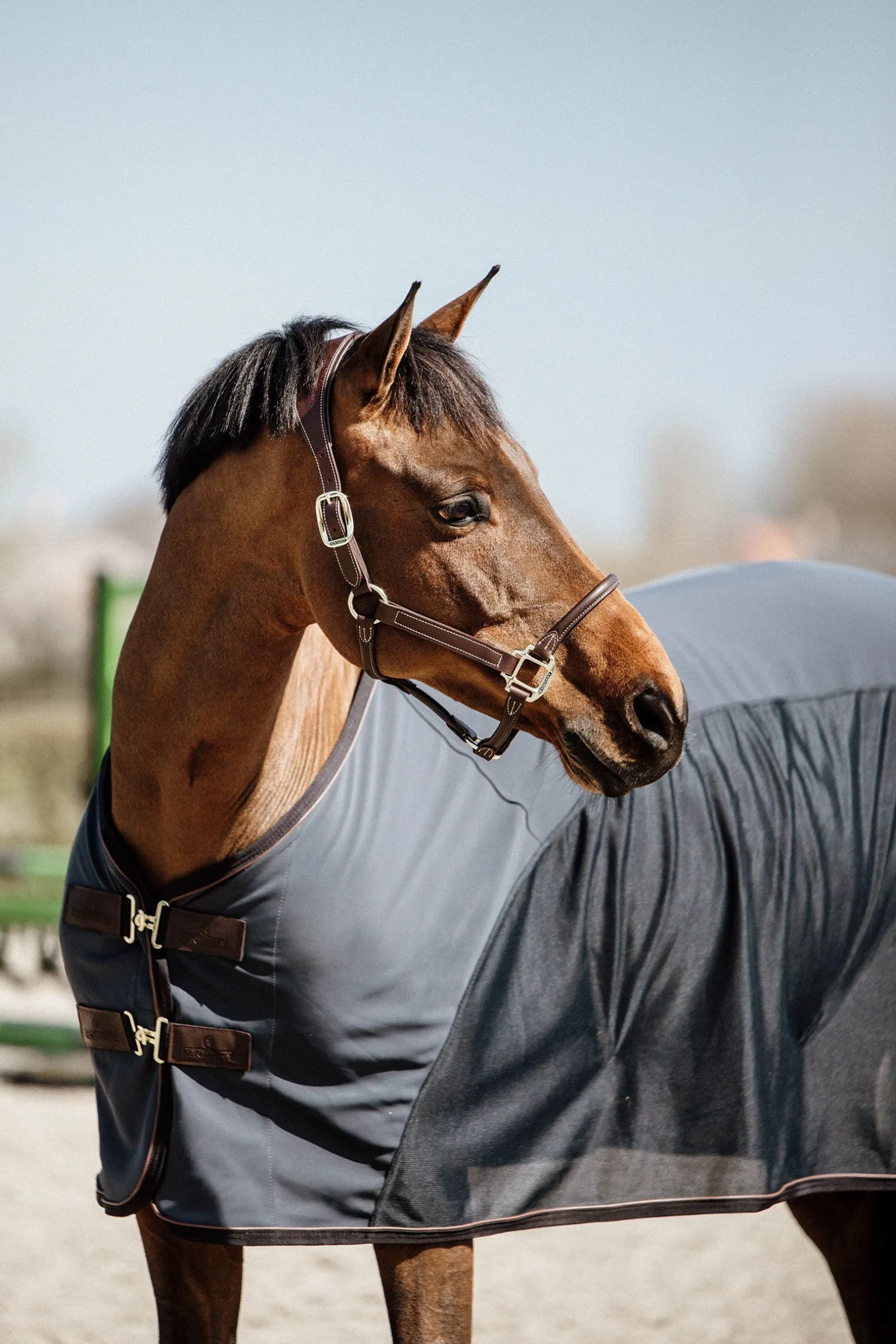 Kentucky Horsewear Cooler softshell dekken