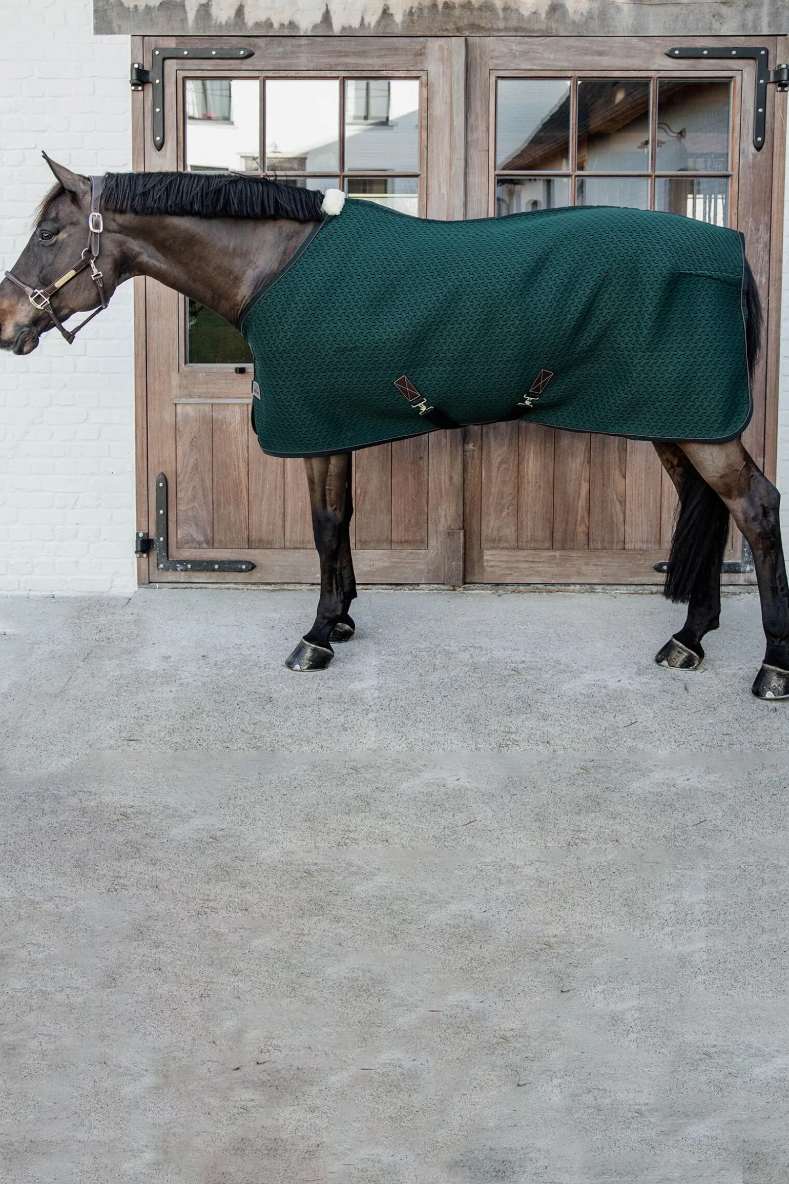Kentucky Horsewear 4D Spacer cooler
