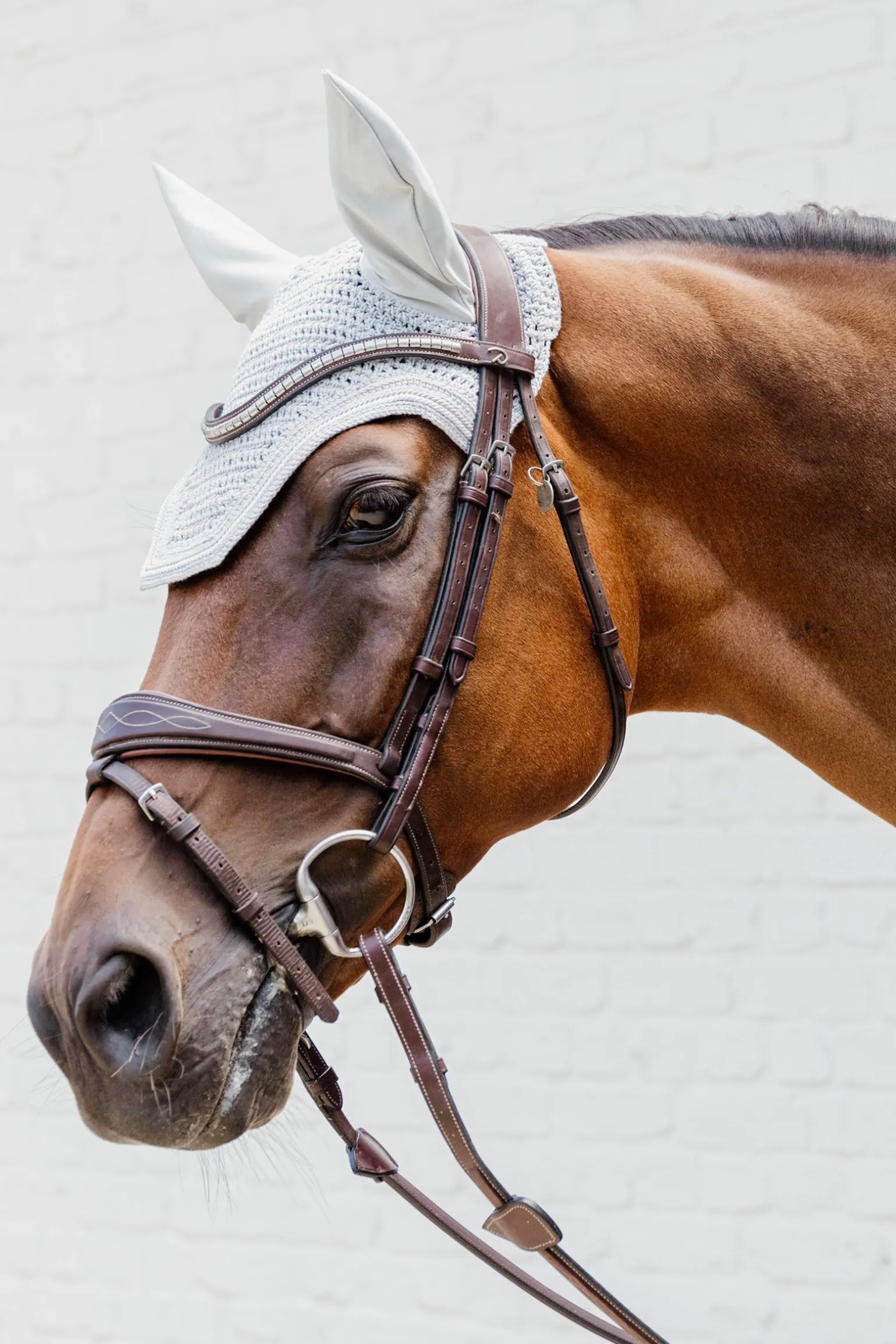 Kentucky Horsewear fluehette Wellington Diamond Rope Soundless