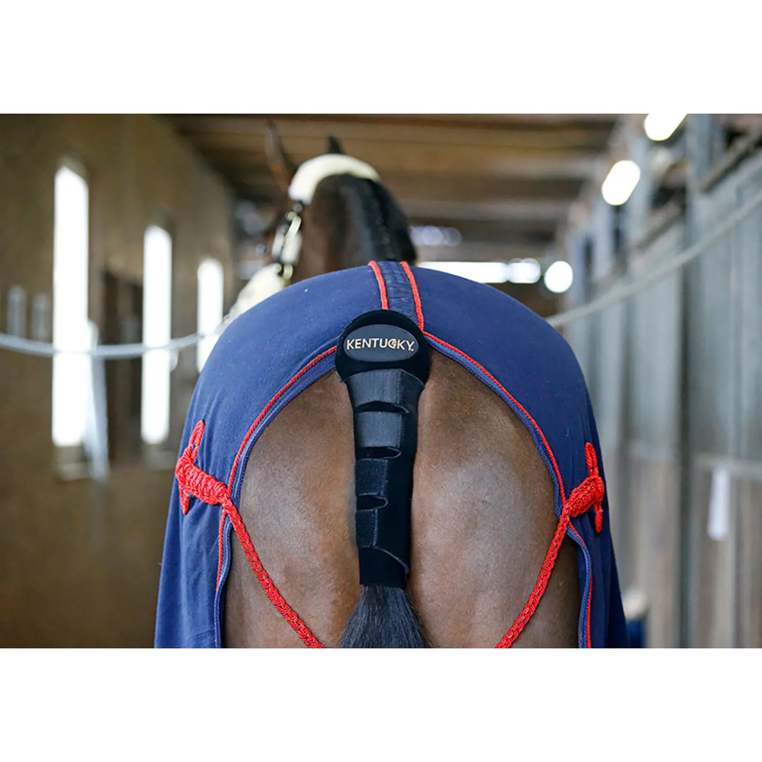Kentucky Horsewear Halebeskytter / Halepose