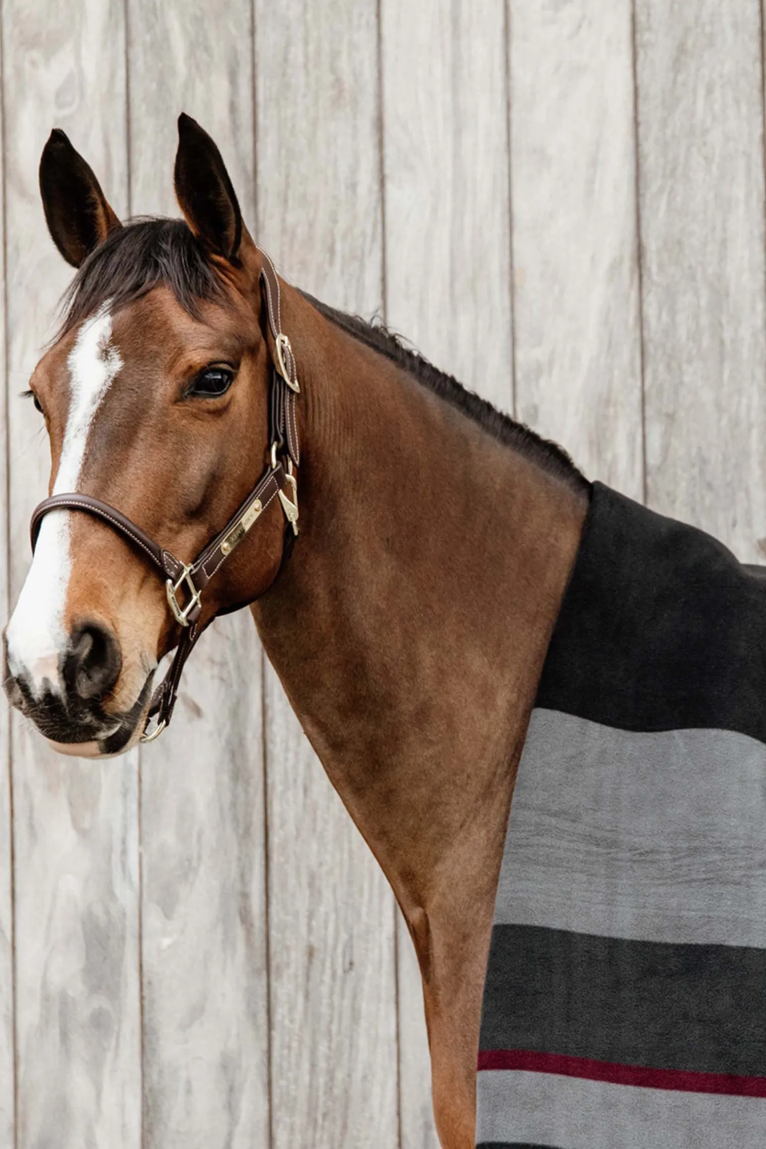 Kentucky Horsewear Heavy fleecedekken