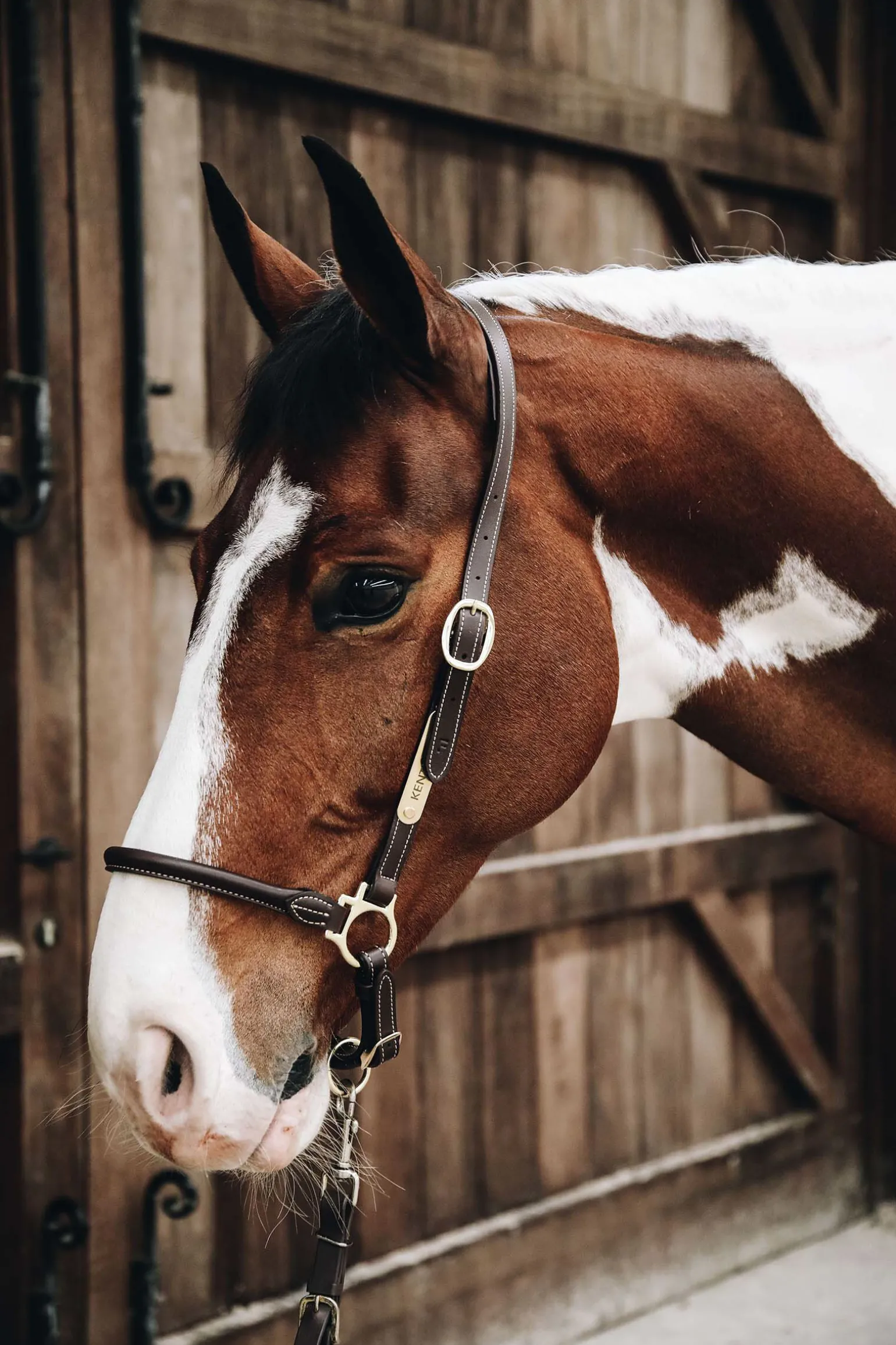 Kentucky Horsewear lærgrime for stell