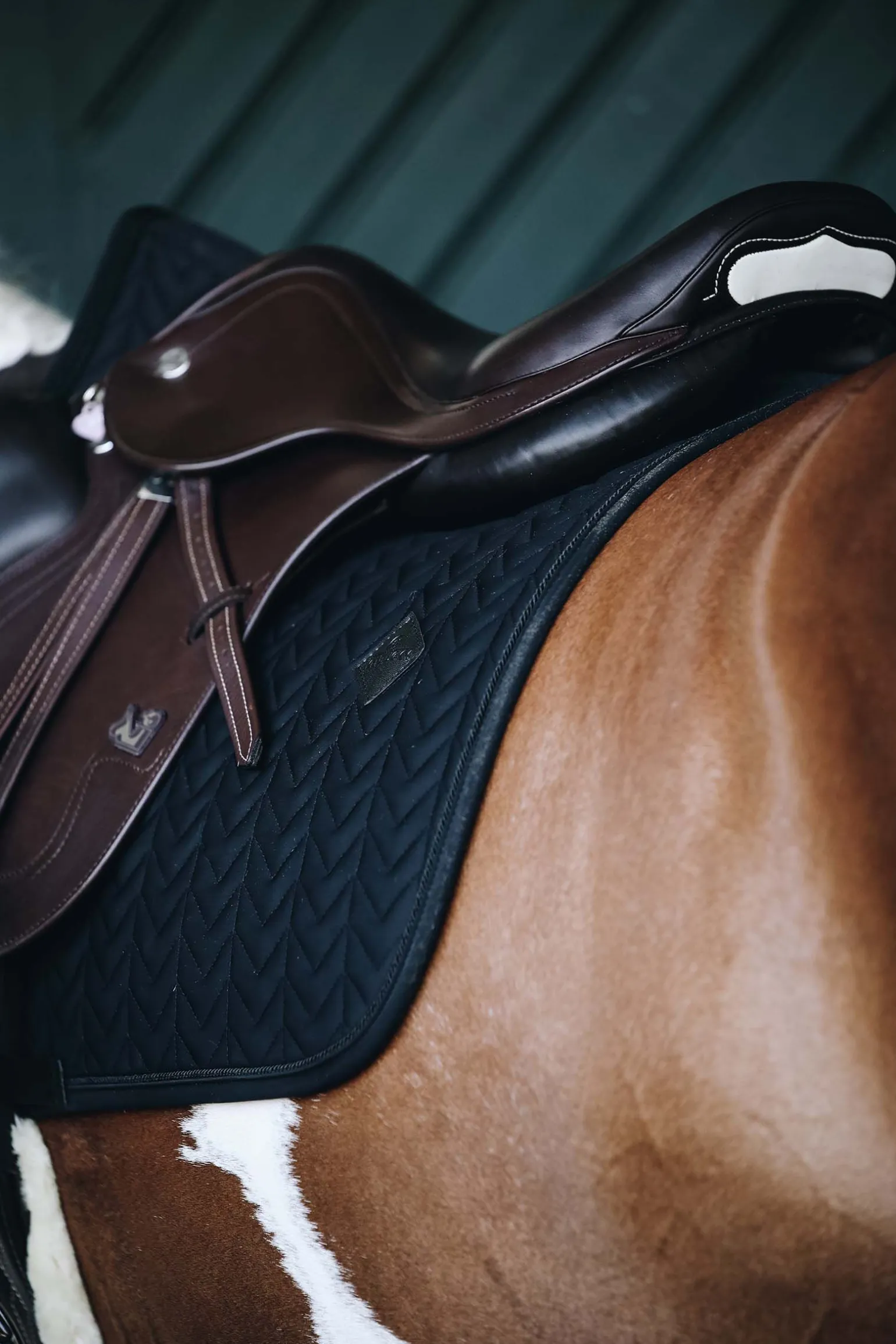 Kentucky Horsewear sprangsjabrak, fiskebein