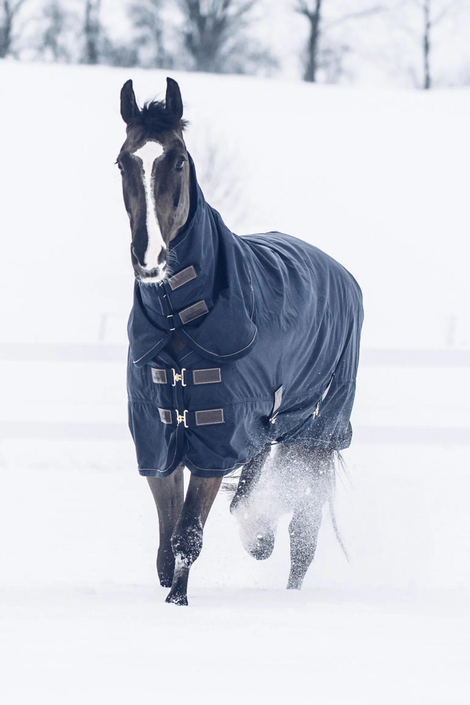 Kentucky Horsewear Tiny All Weather utedekken, 300 gram