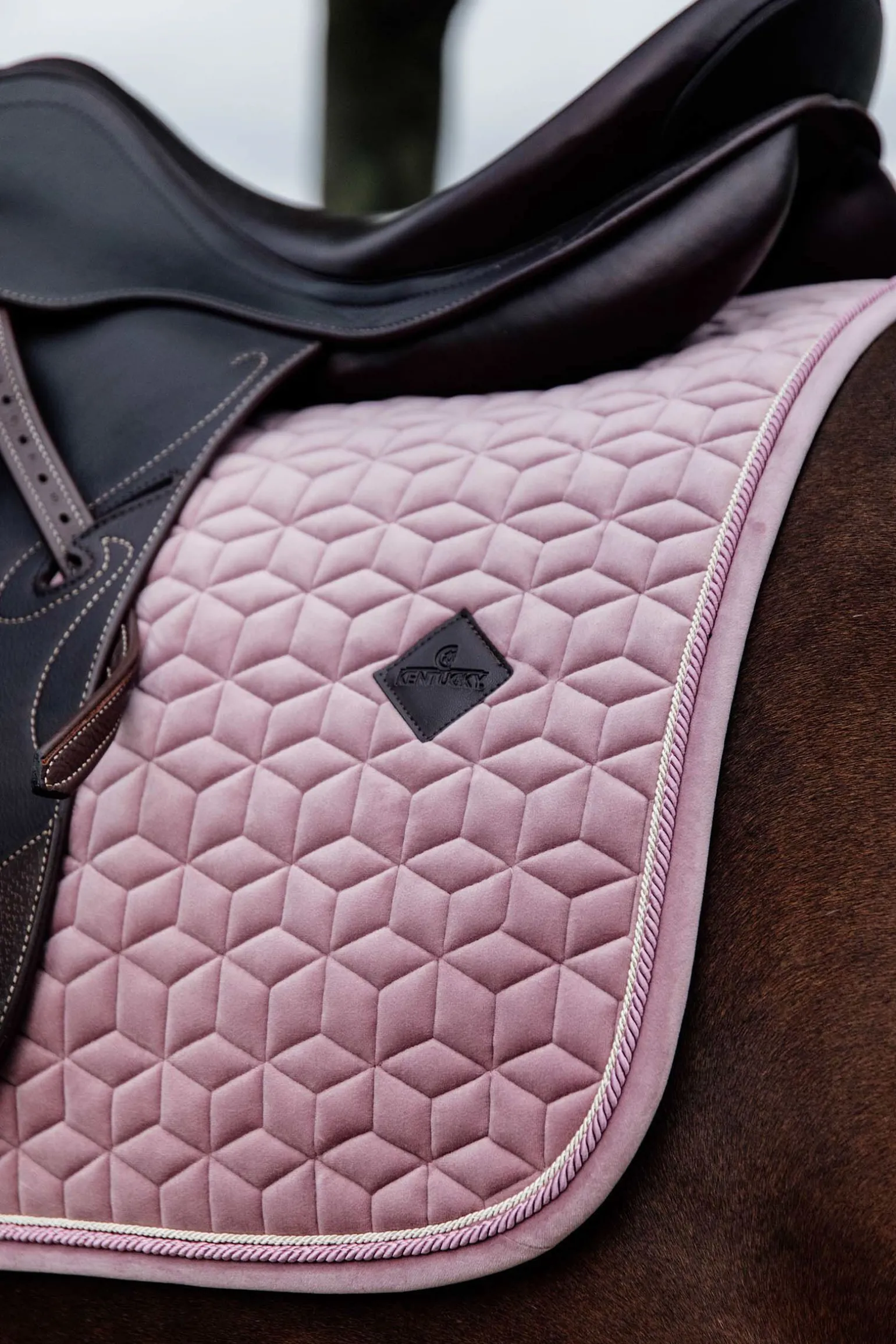 Kentucky Horsewear Velvet dressursjabrak
