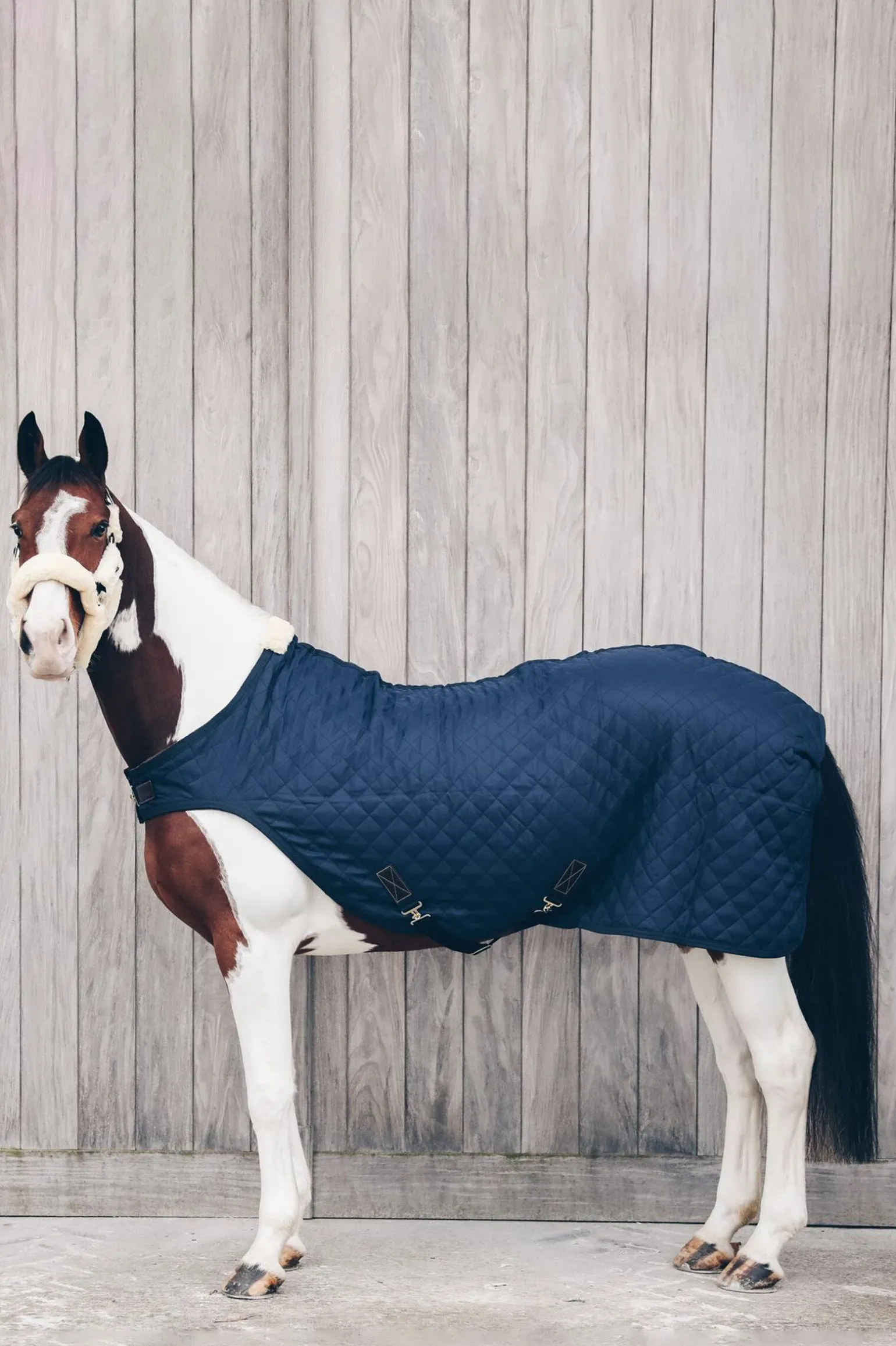 Kentucky Horsewear walkerdekken, 160 gram