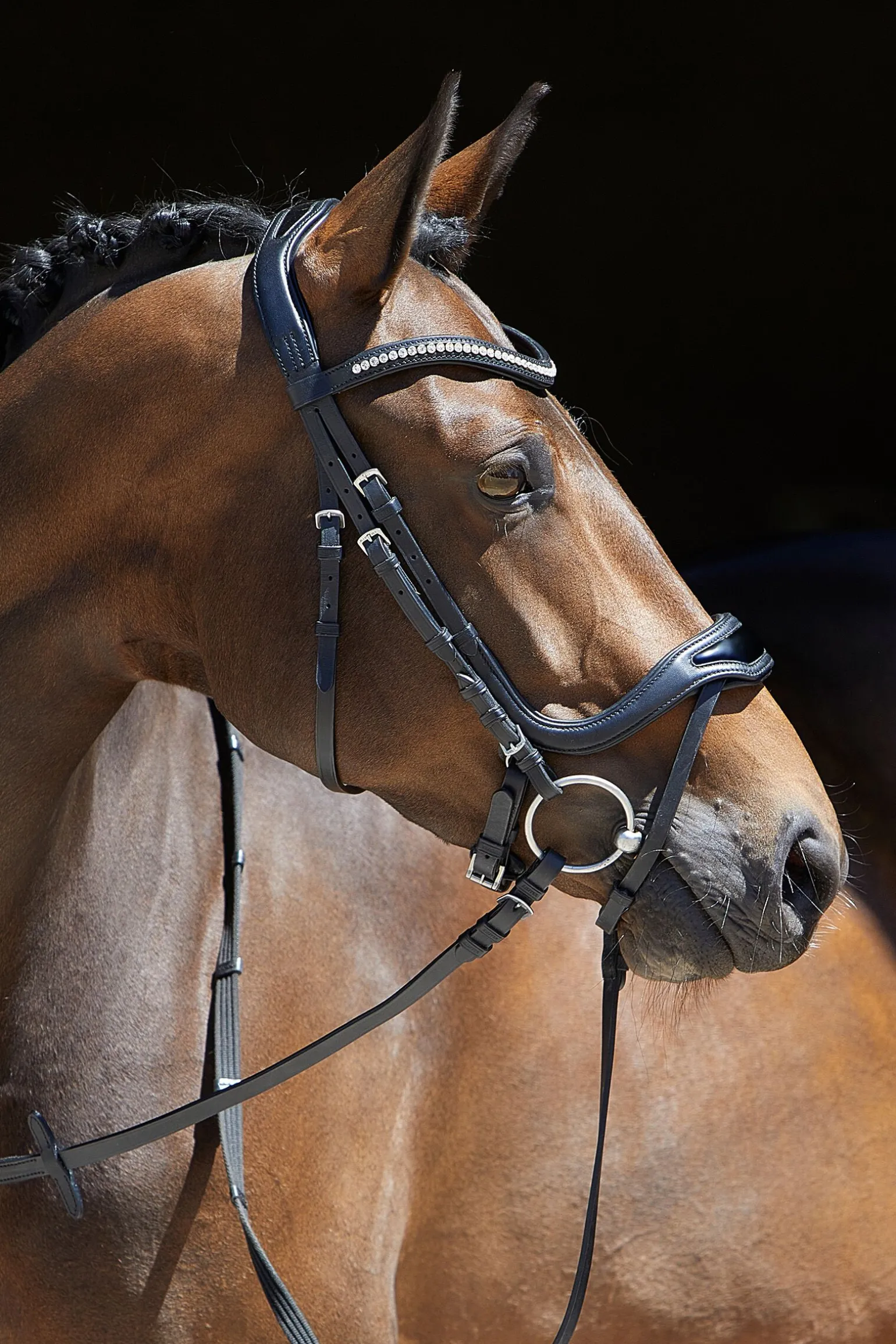 Kieffer Anouk Softtech Line hodelag