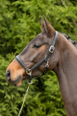 Kieffer Ultrasoft® lærgrime
