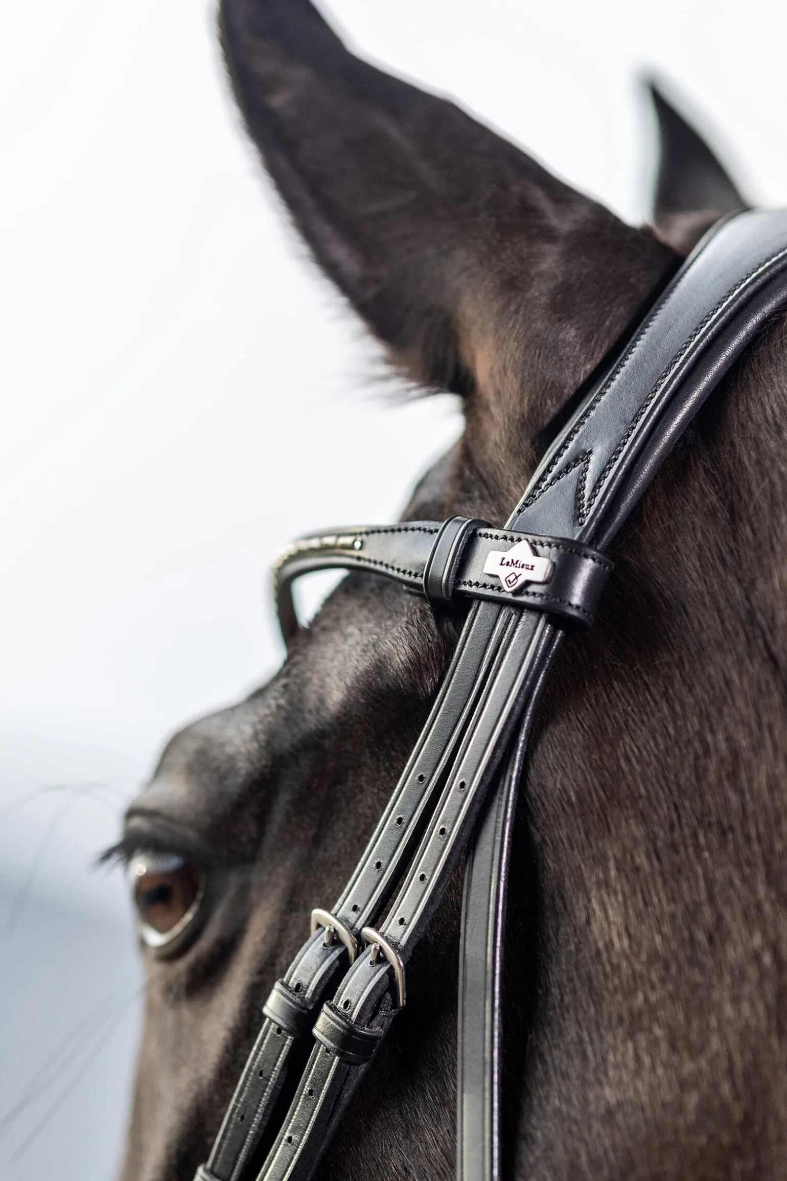 LeMieux Classic dressurhodelag