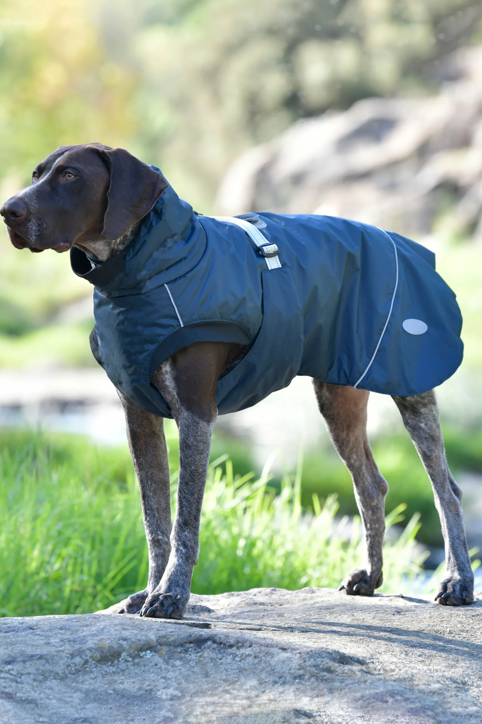 Weatherbeeta Explorer Medium Hundefrakk